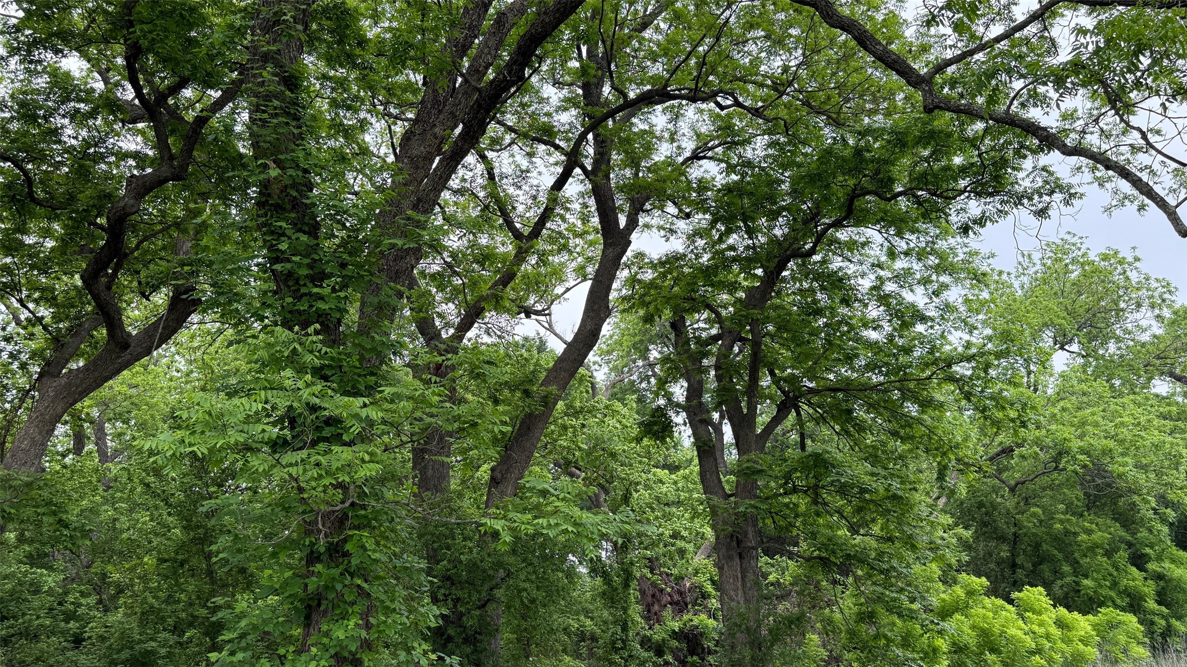 20 Acres Gathings Avenue Covington TX 76636