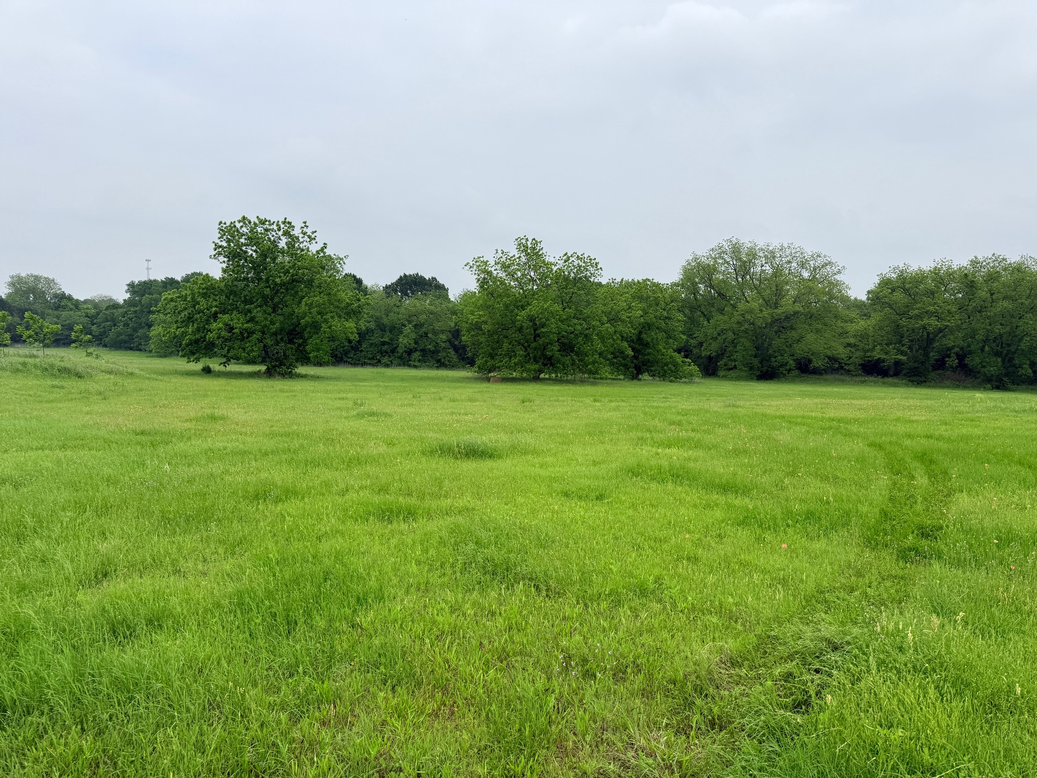 20 Acres Gathings Avenue Covington TX 76636