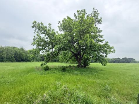 20 Acres Gathings Avenue Covington TX 76636