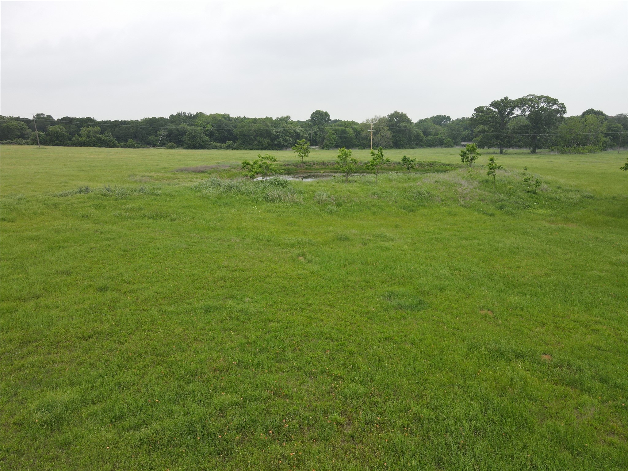 20 Acres Gathings Avenue Covington TX 76636