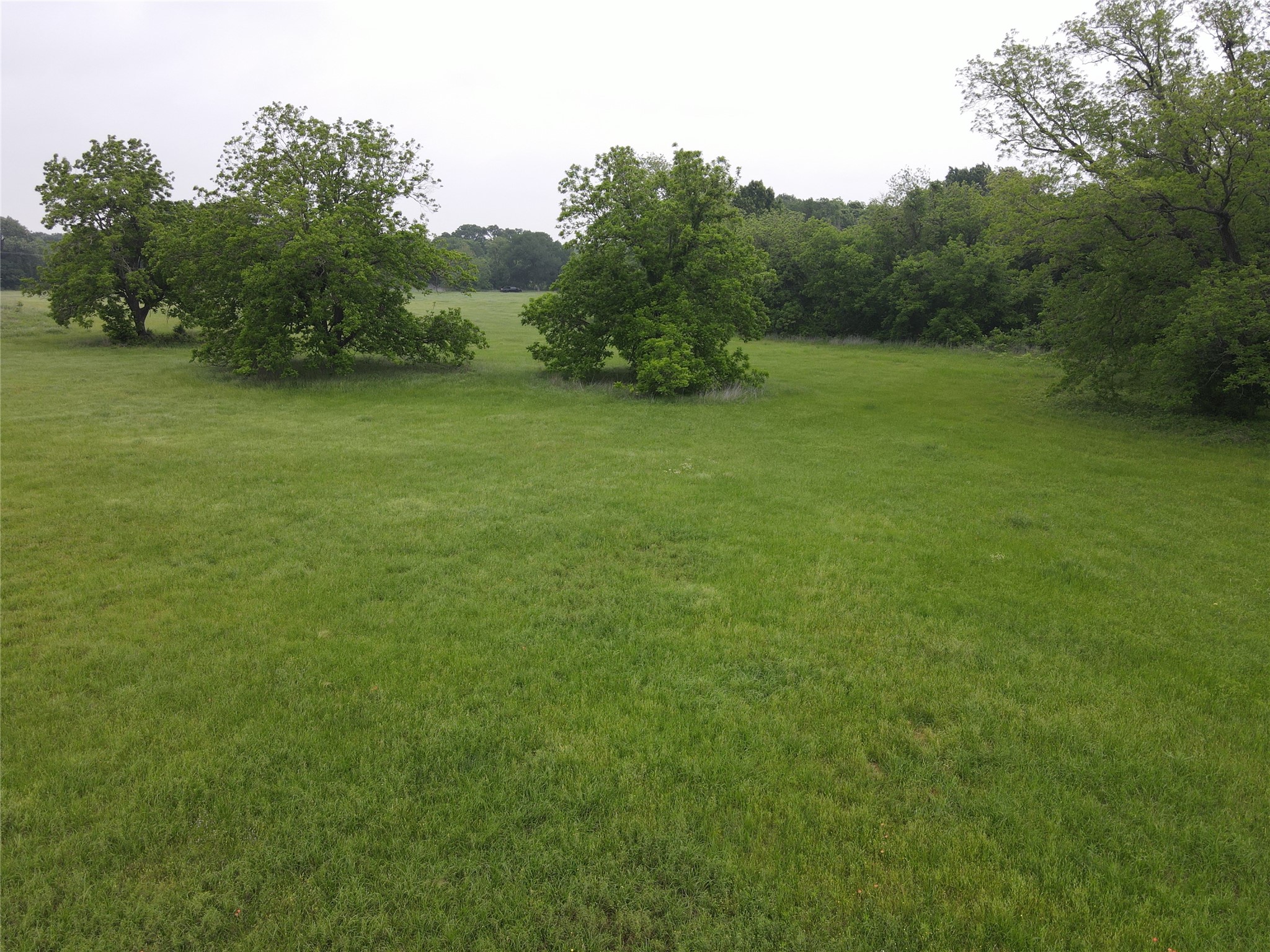 20 Acres Gathings Avenue Covington TX 76636