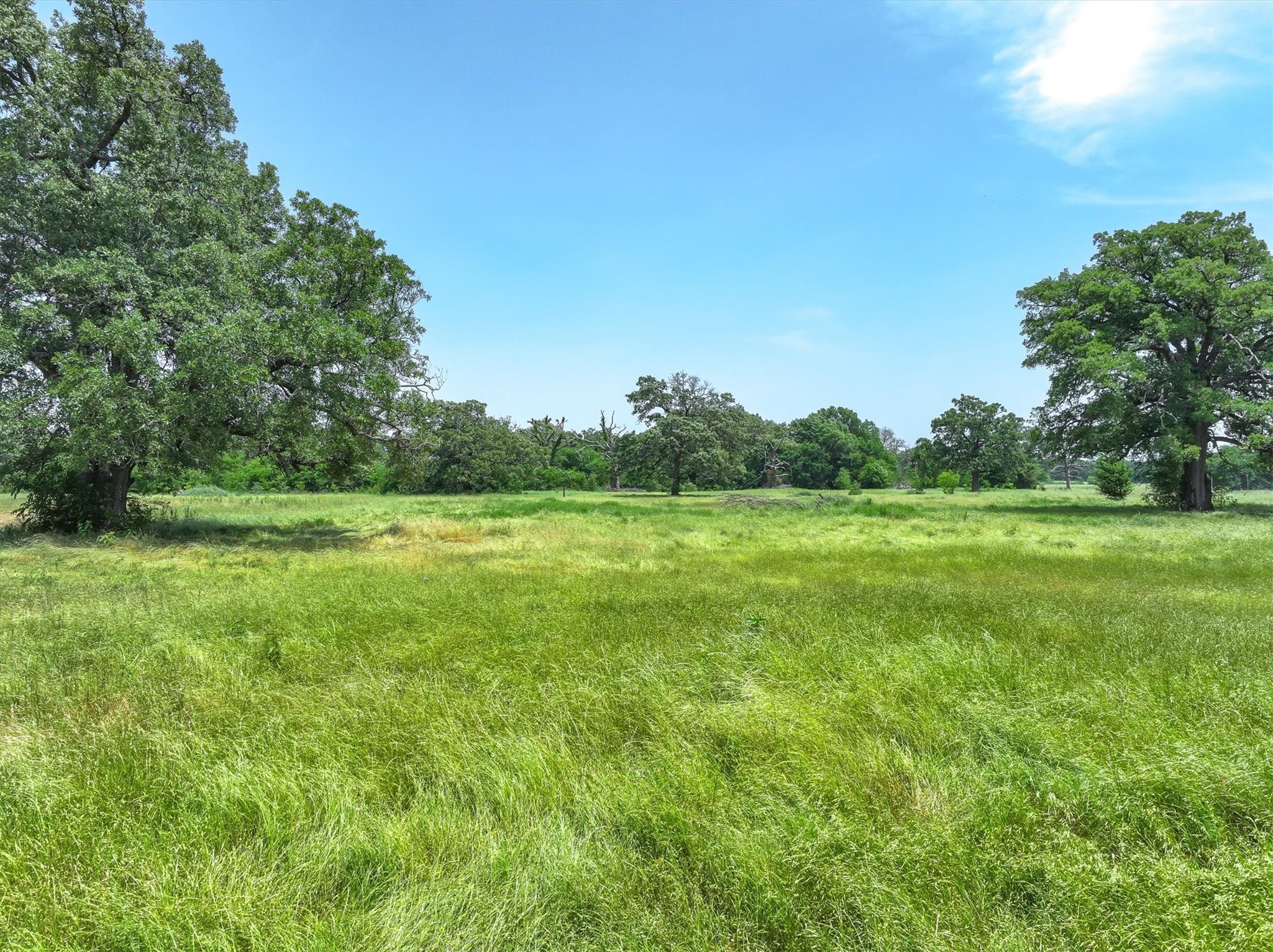 Tbd County Road 1131 Cumby TX 75433
