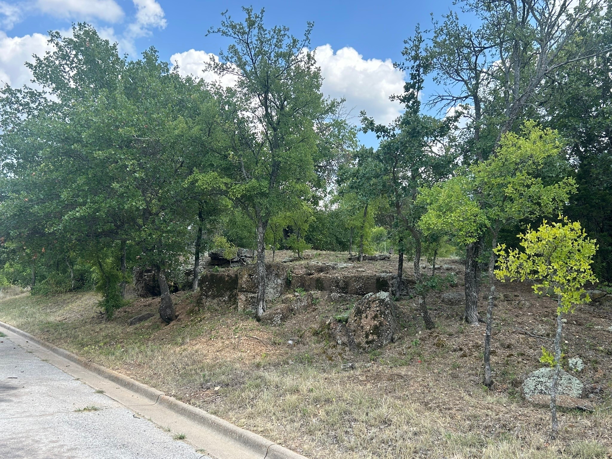 1406 Willow Wood Court Graham TX 76450