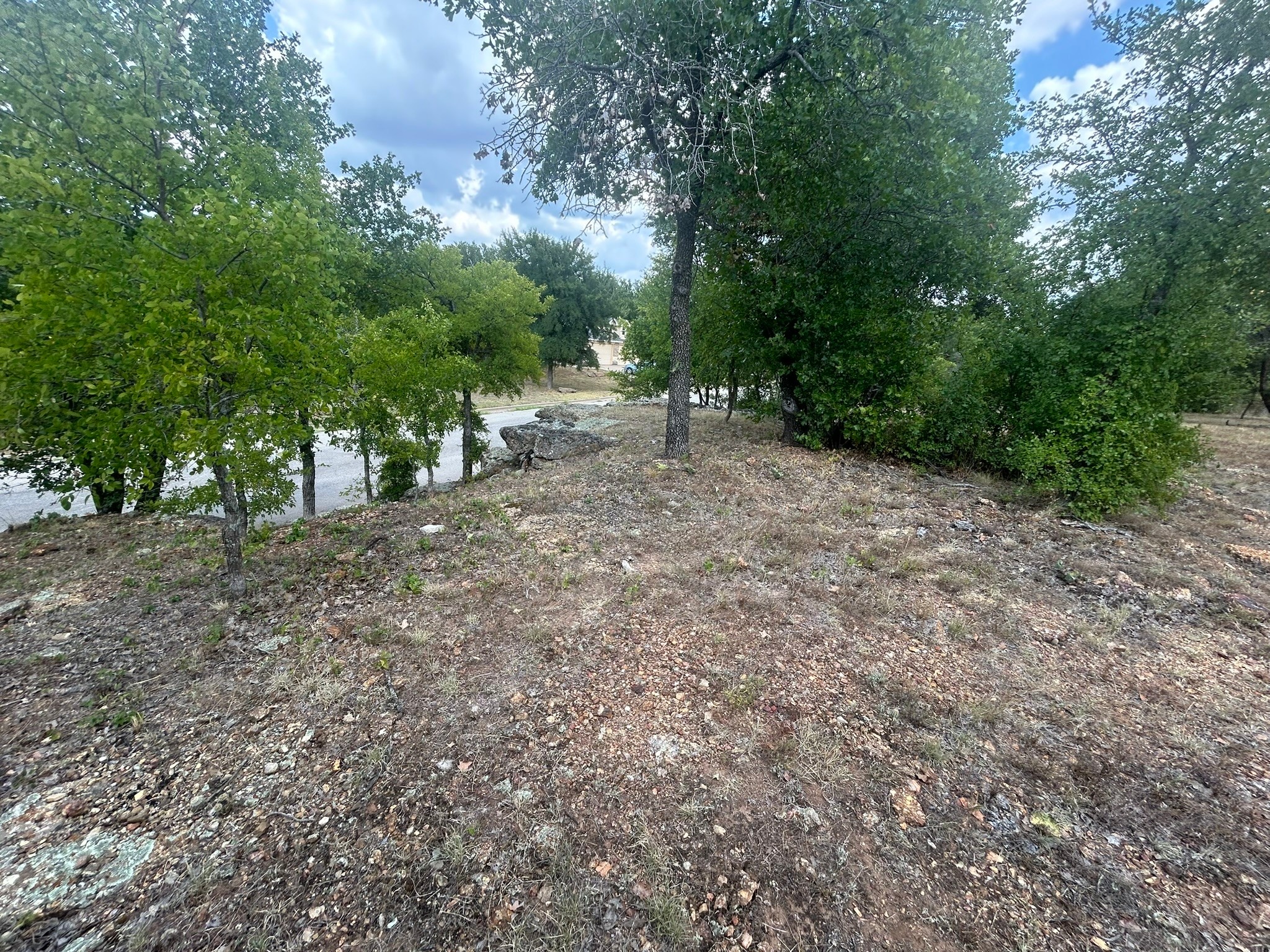 1406 Willow Wood Court Graham TX 76450