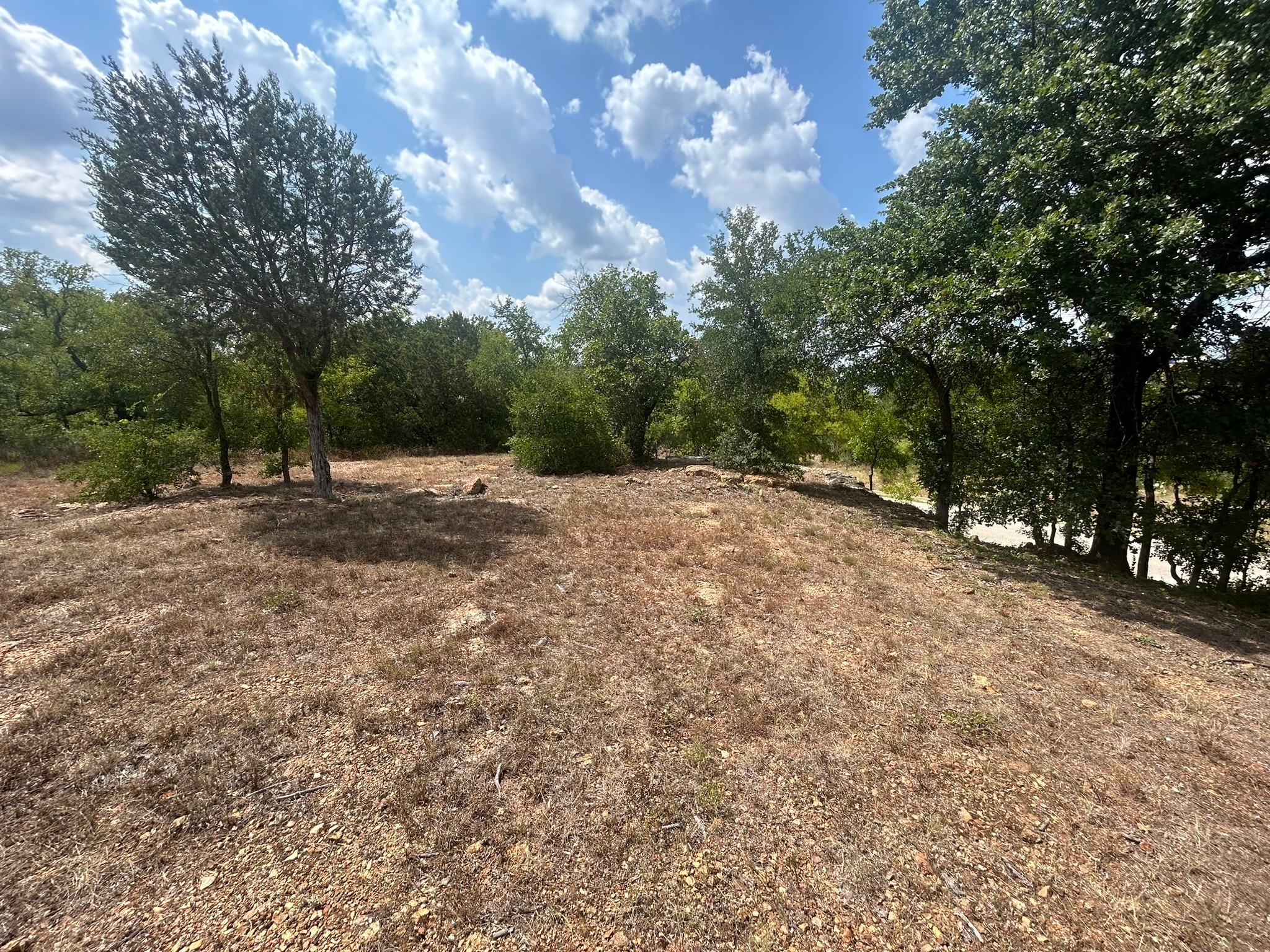1406 Willow Wood Court Graham TX 76450