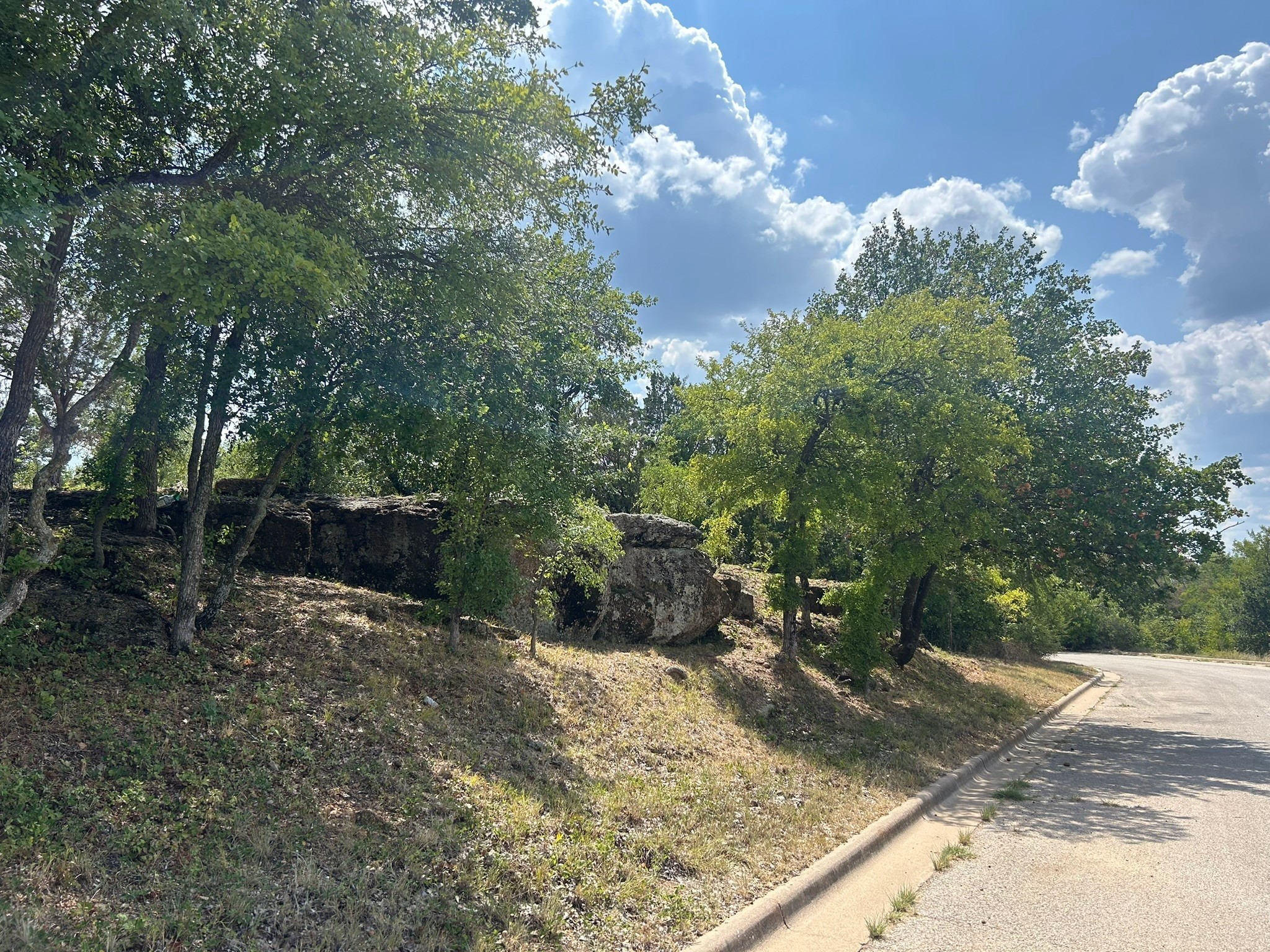 1406 Willow Wood Court Graham TX 76450