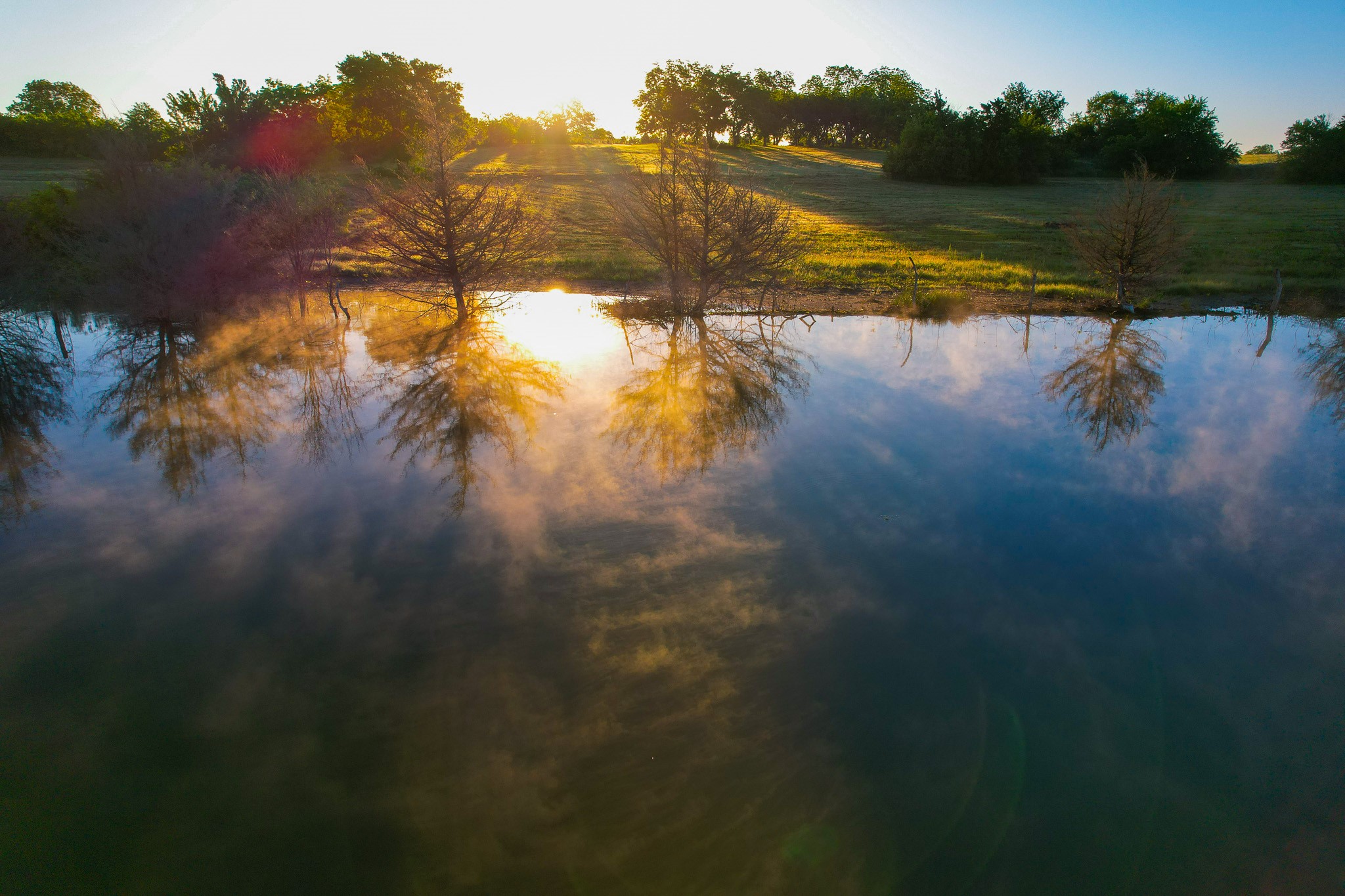 2000 County Road 2950 Dodd City TX 75438
