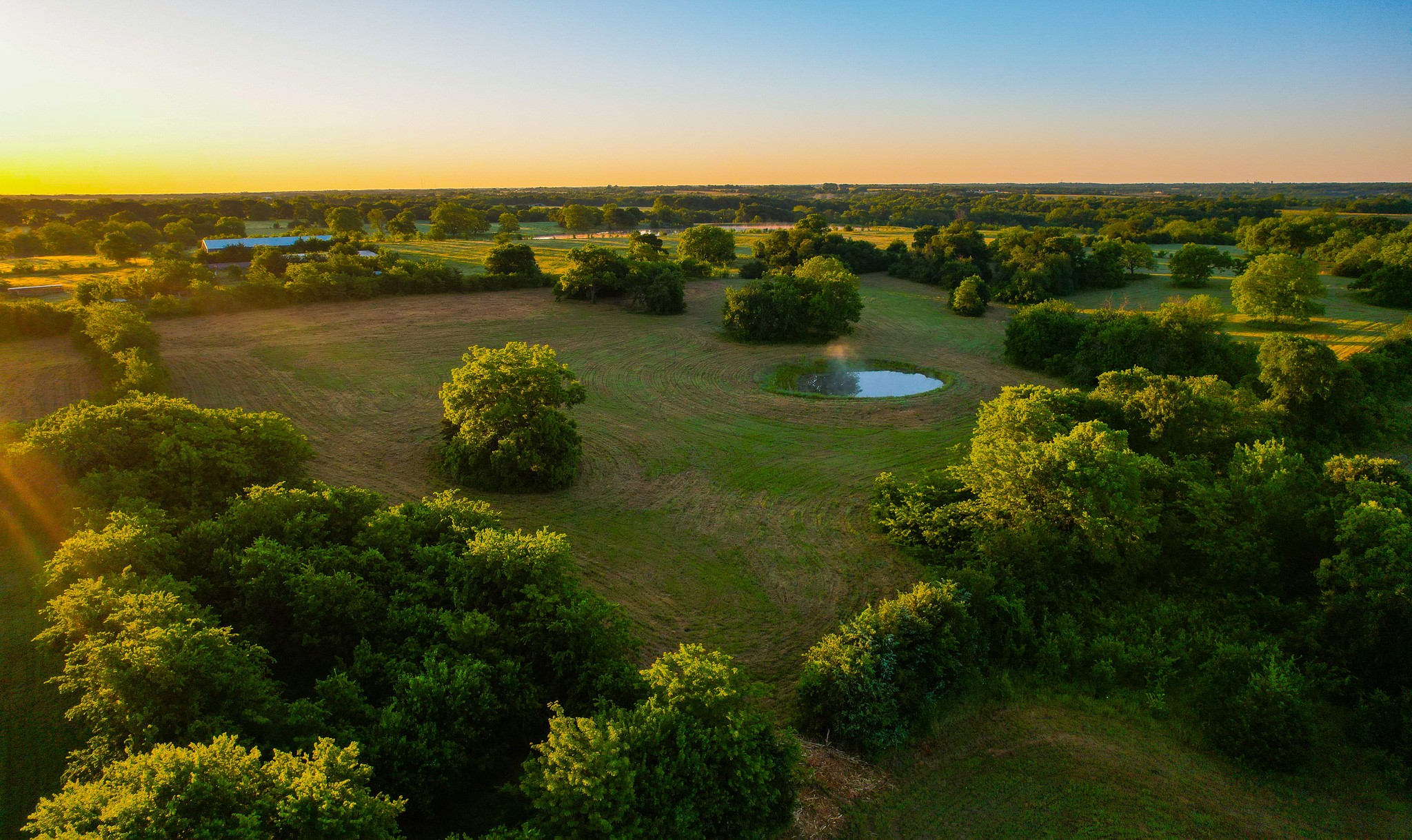 2000 County Road 2950 Dodd City TX 75438
