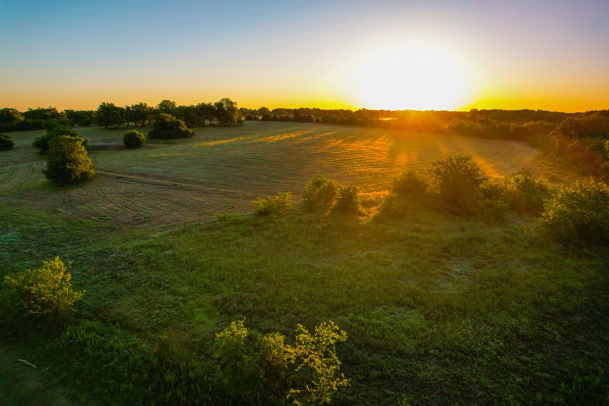 2000 County Road 2950 Dodd City TX 75438