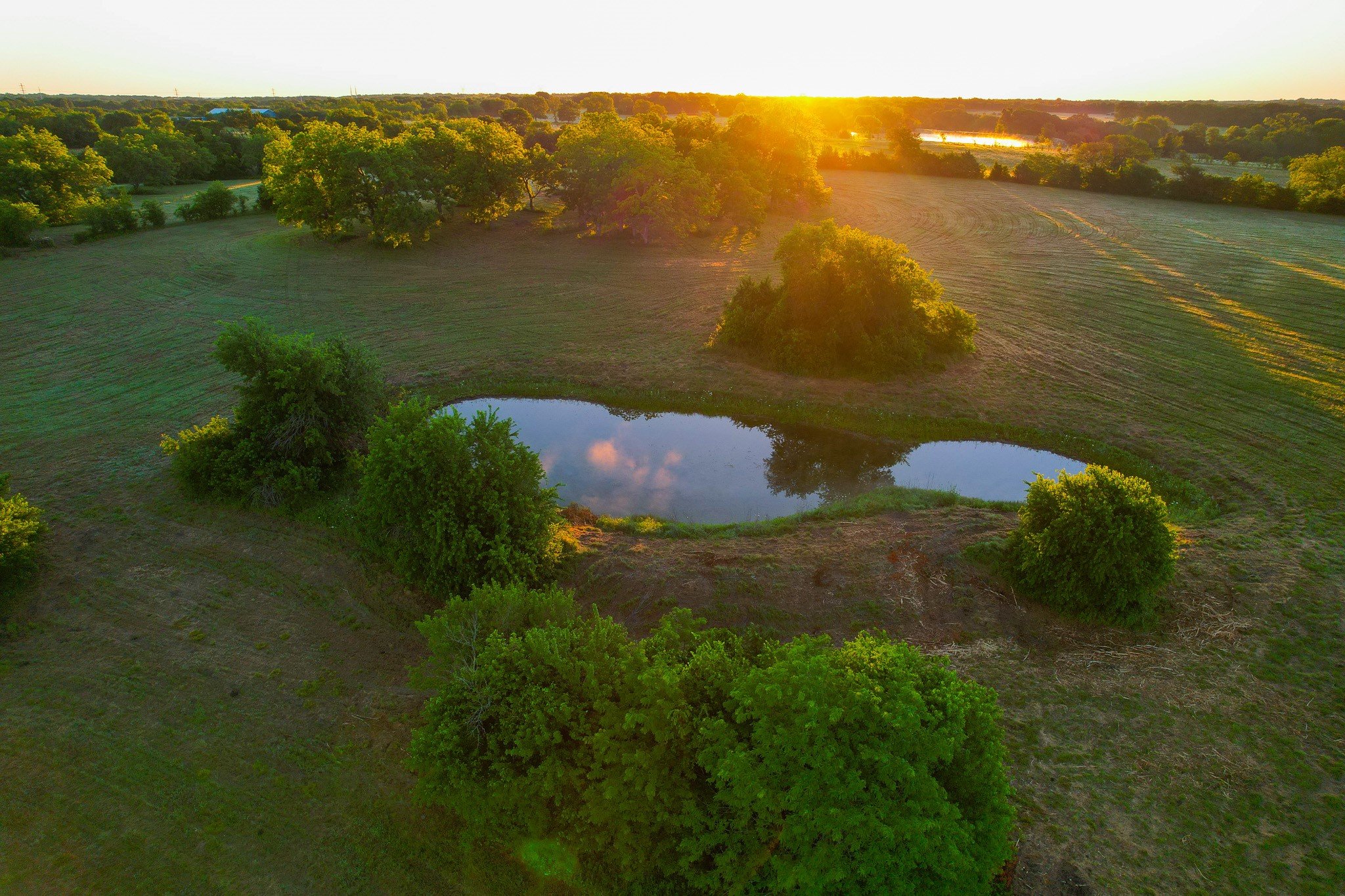 2000 County Road 2950 Dodd City TX 75438