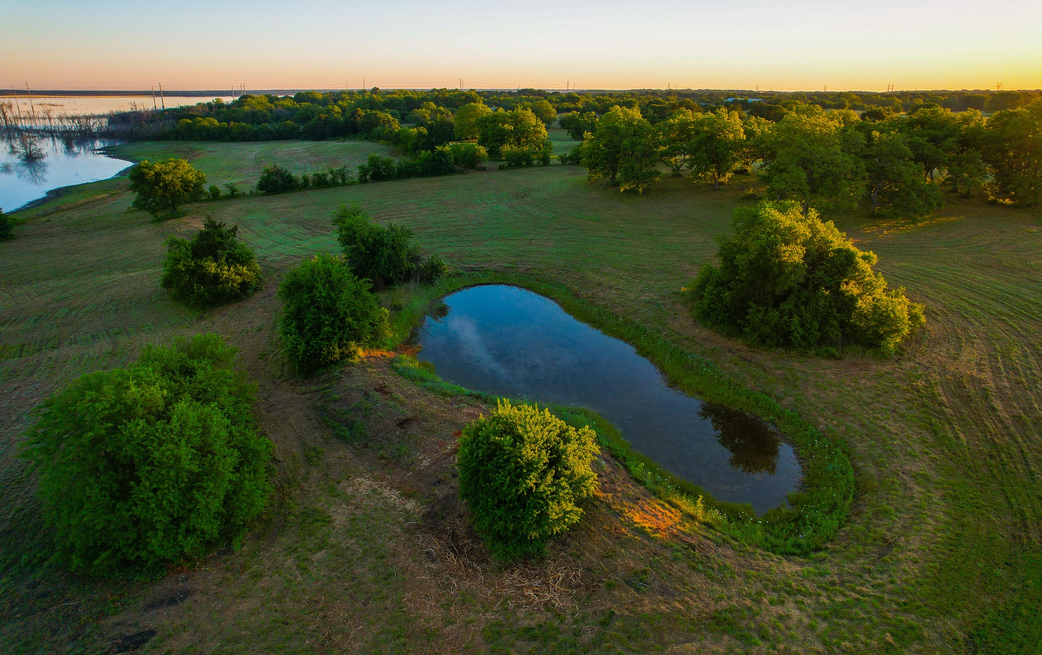 2000 County Road 2950 Dodd City TX 75438