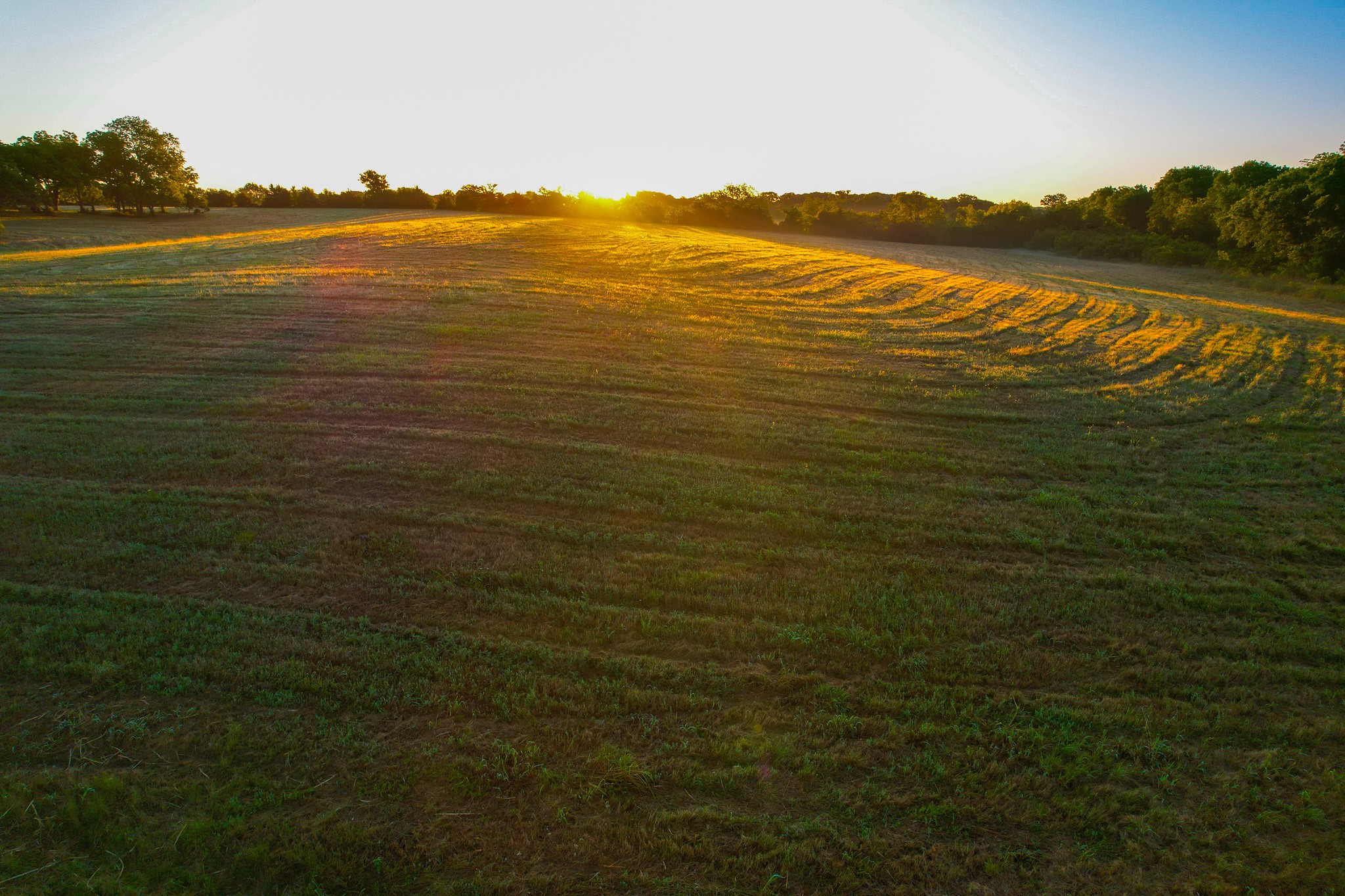 2000 County Road 2950 Dodd City TX 75438