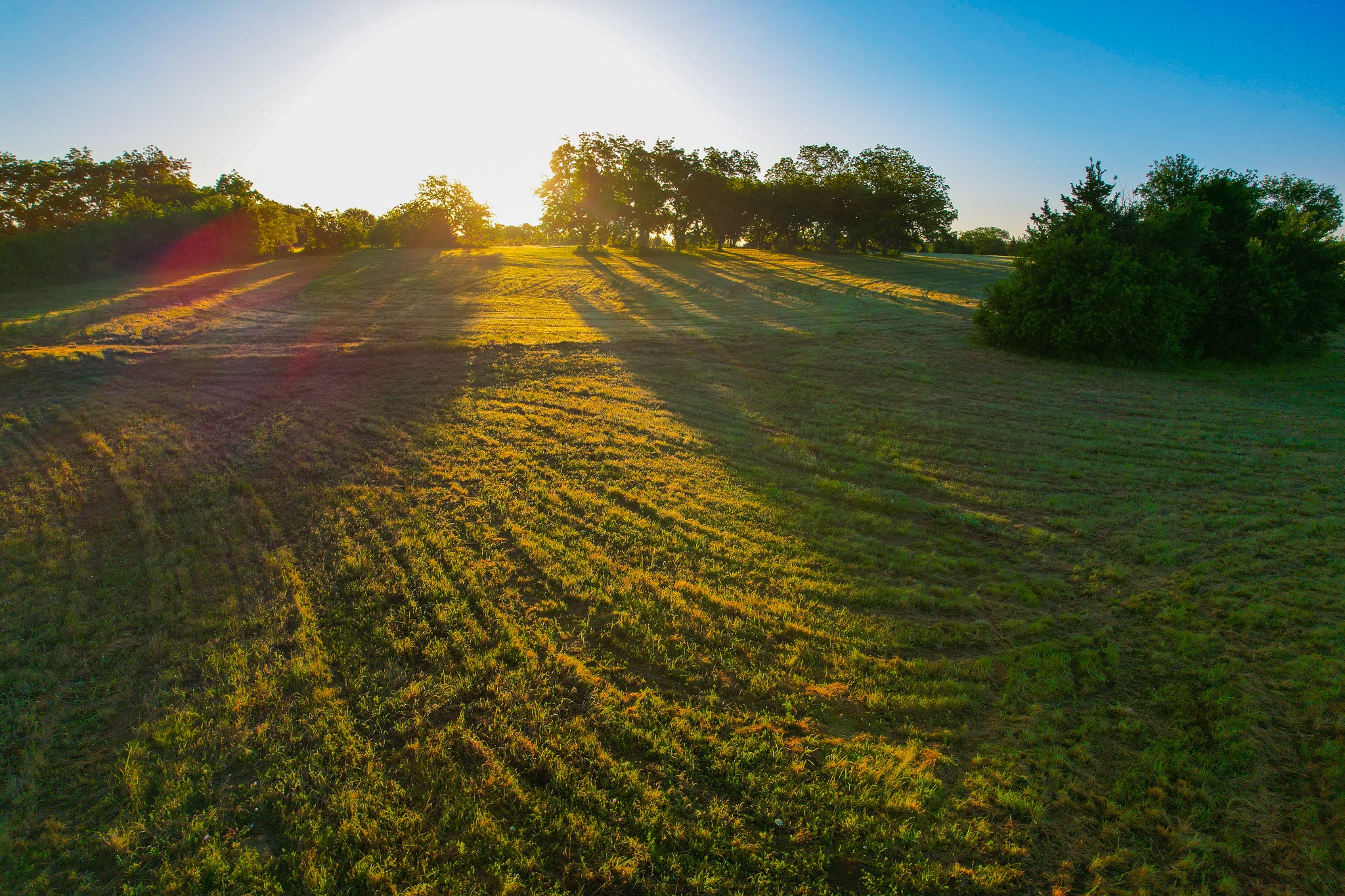 2000 County Road 2950 Dodd City TX 75438