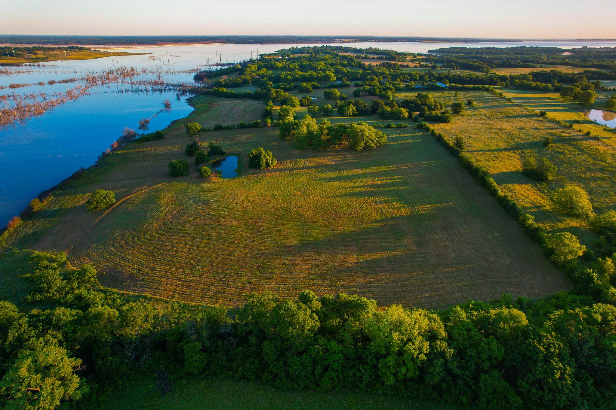 2000 County Road 2950 Dodd City TX 75438