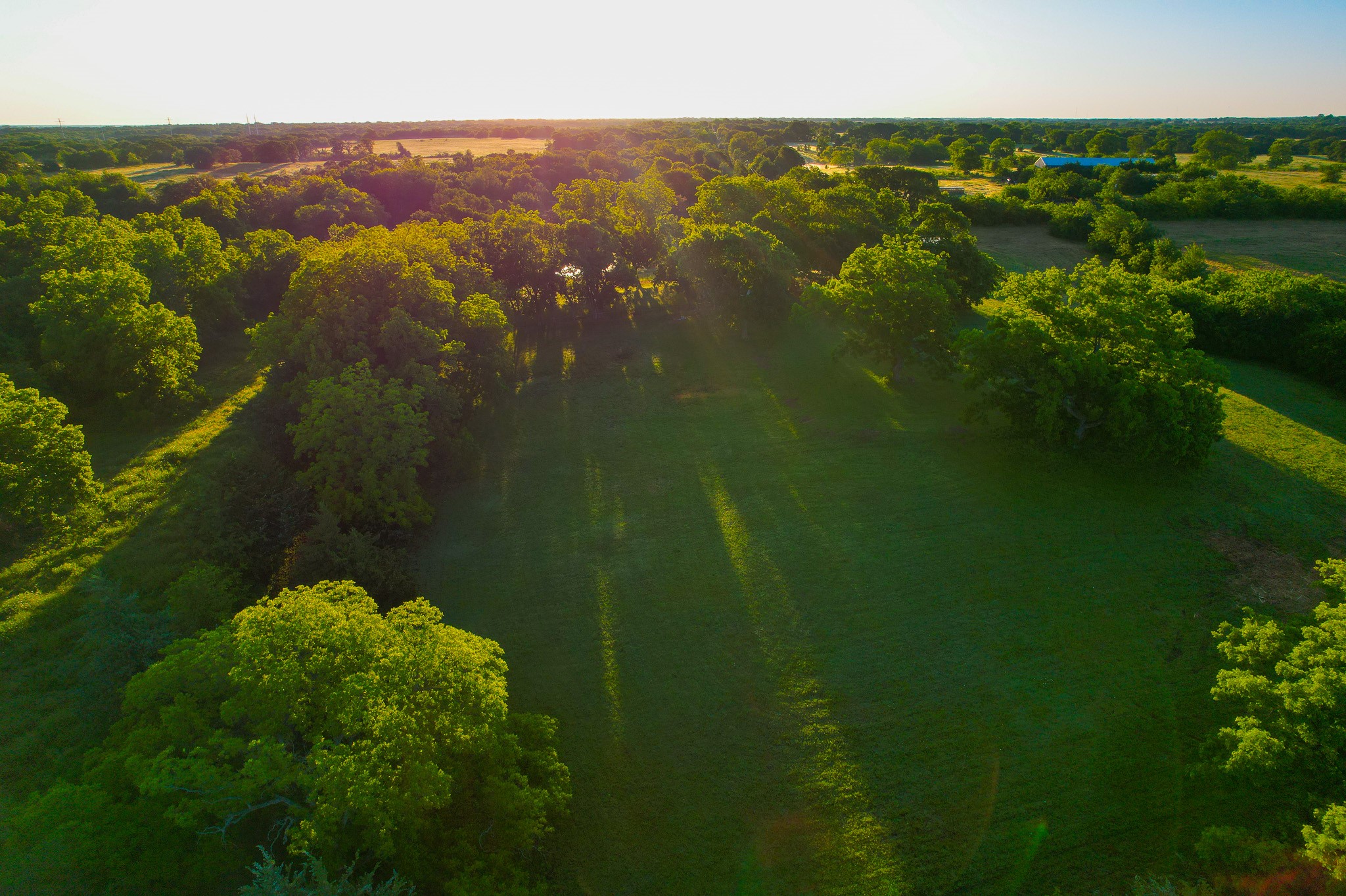 2000 County Road 2950 Dodd City TX 75438