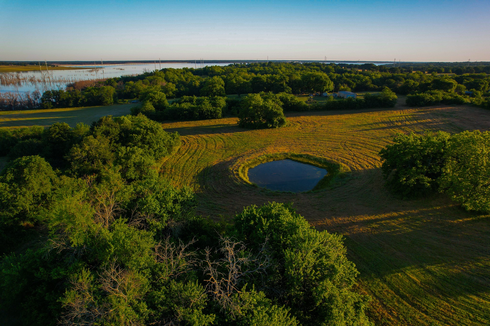 2000 County Road 2950 Dodd City TX 75438