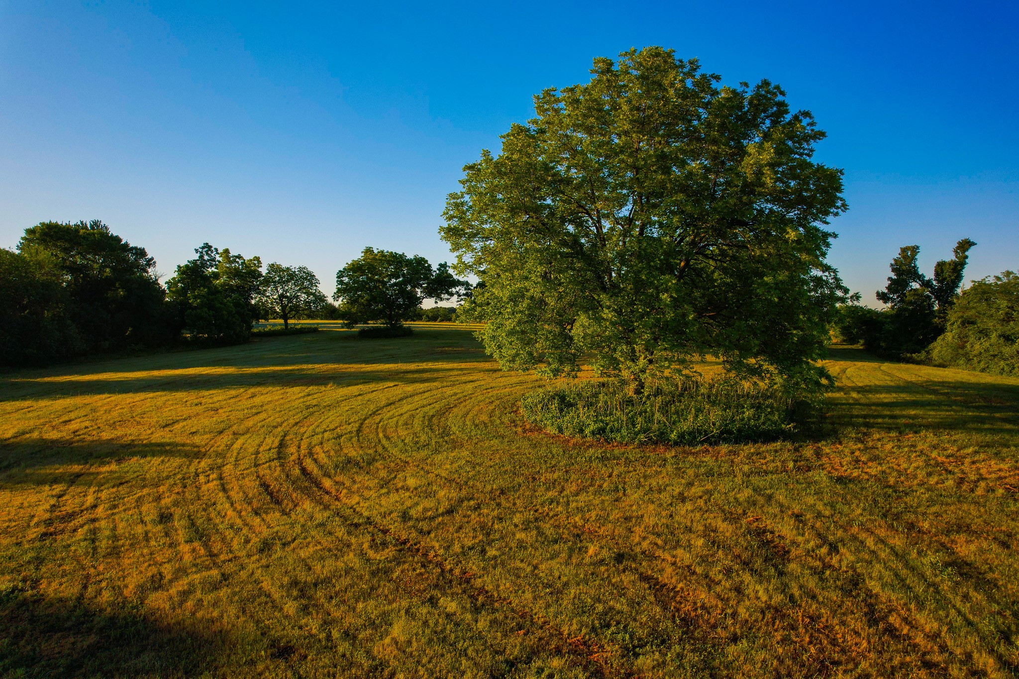 2000 County Road 2950 Dodd City TX 75438