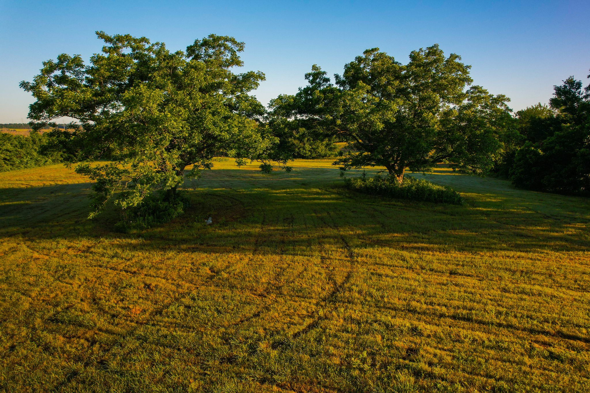 2000 County Road 2950 Dodd City TX 75438