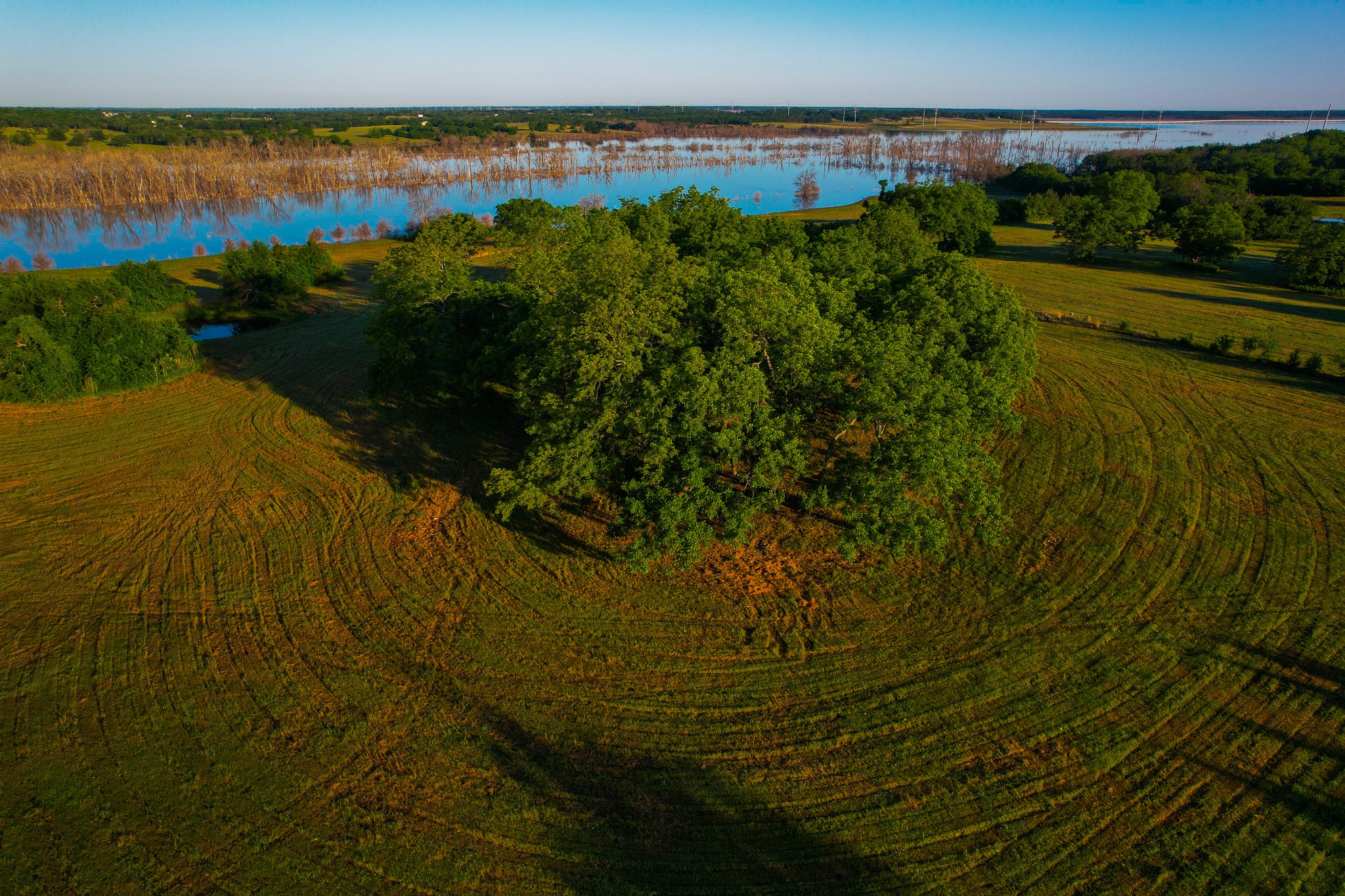 2000 County Road 2950 Dodd City TX 75438