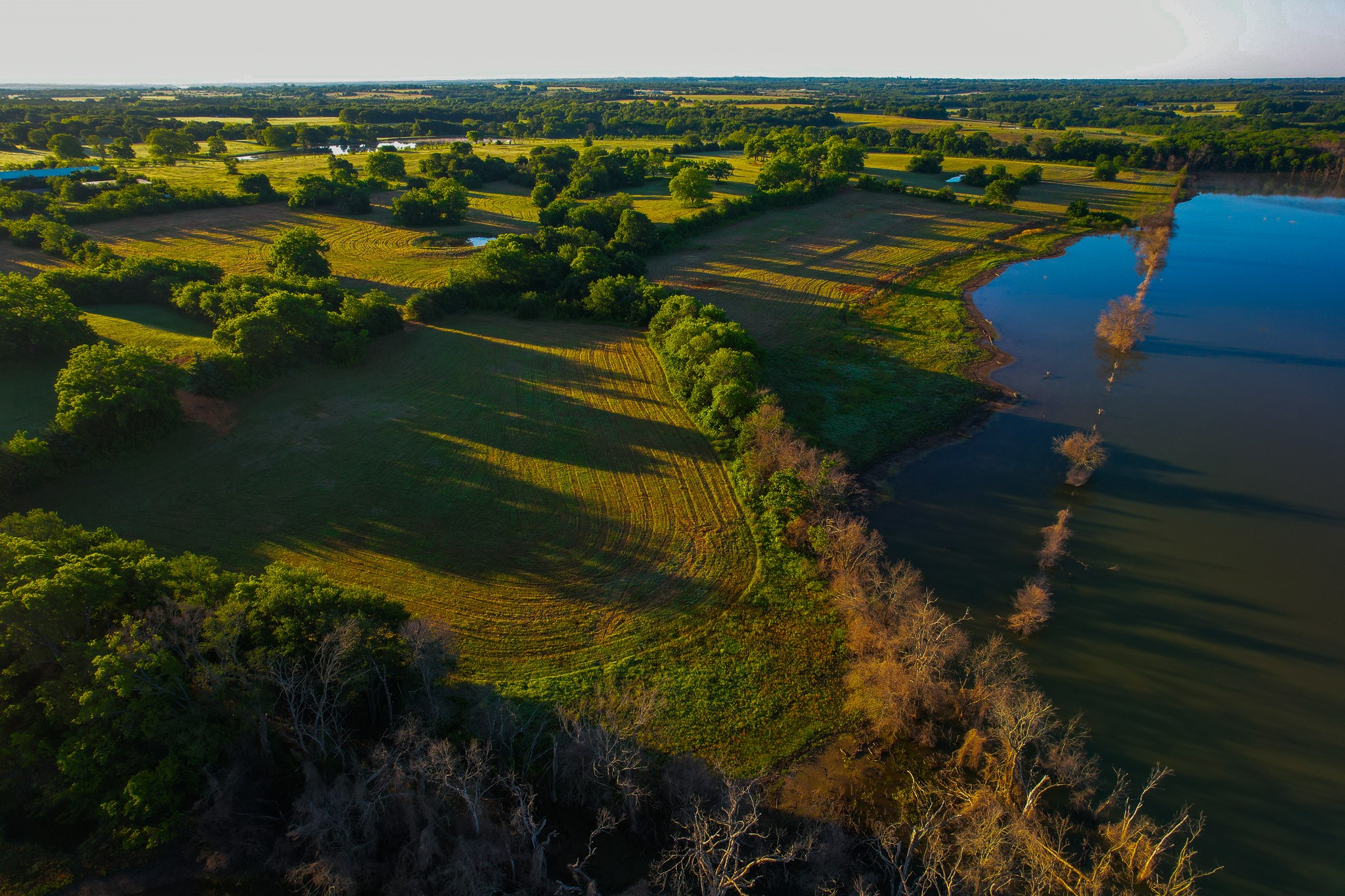 2000 County Road 2950 Dodd City TX 75438