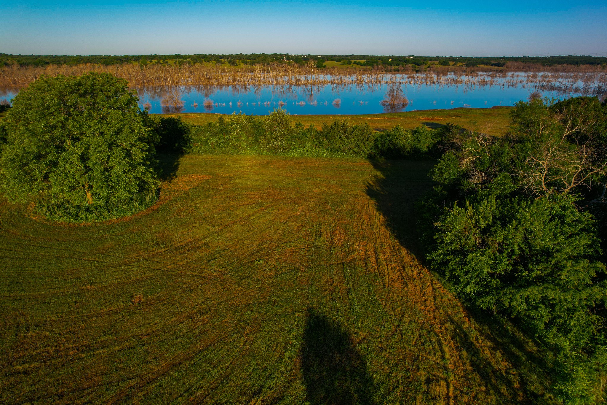2000 County Road 2950 Dodd City TX 75438