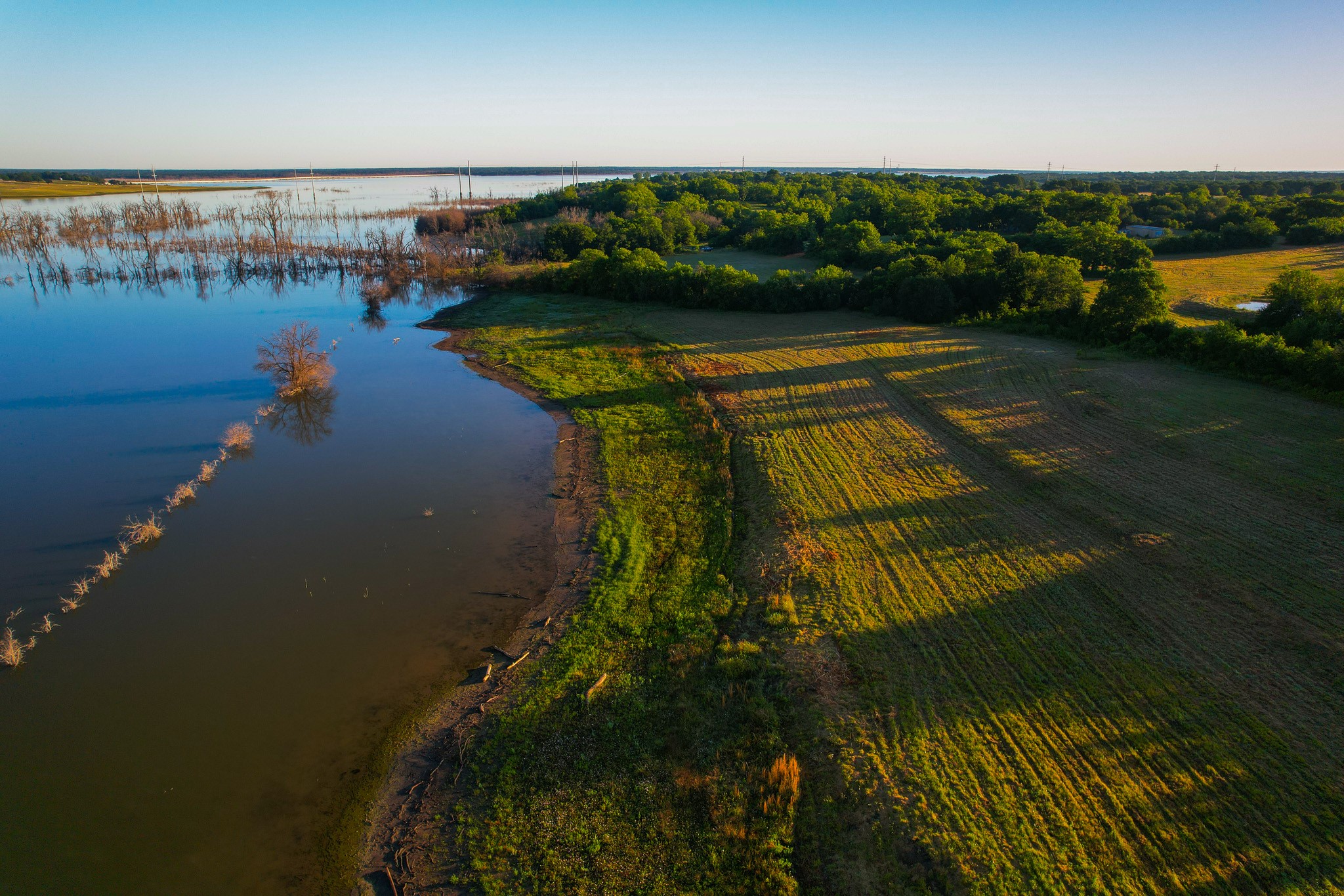 2000 County Road 2950 Dodd City TX 75438