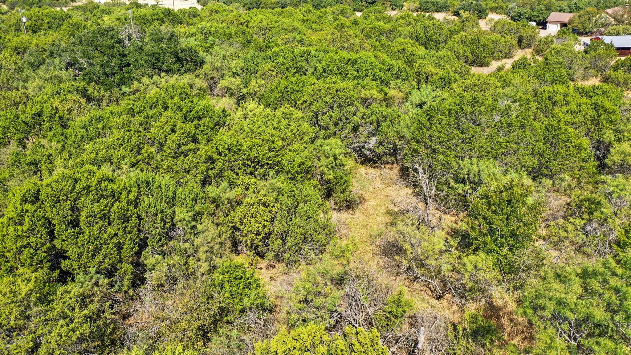 3240 Skyline Drive Bluff Dale TX 76433