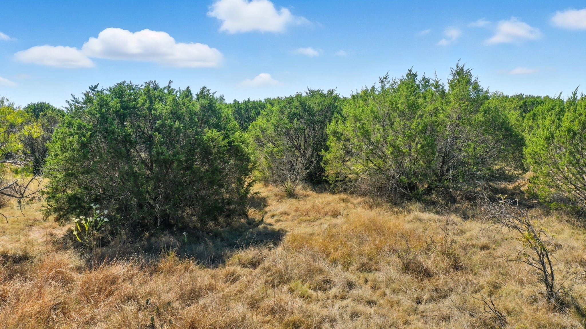 3240 Skyline Drive Bluff Dale TX 76433