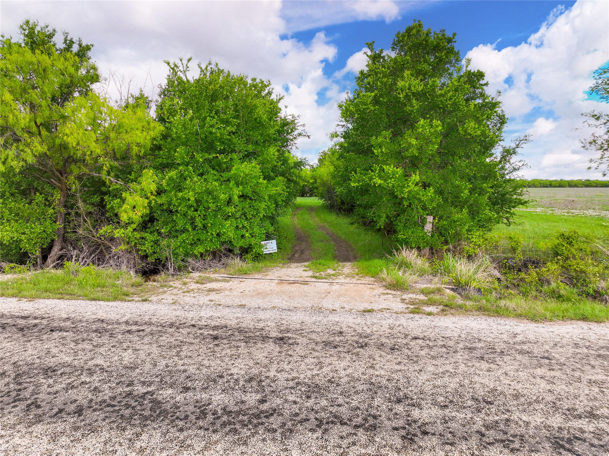 Tract 6 County Road 160 Bangs TX 76823