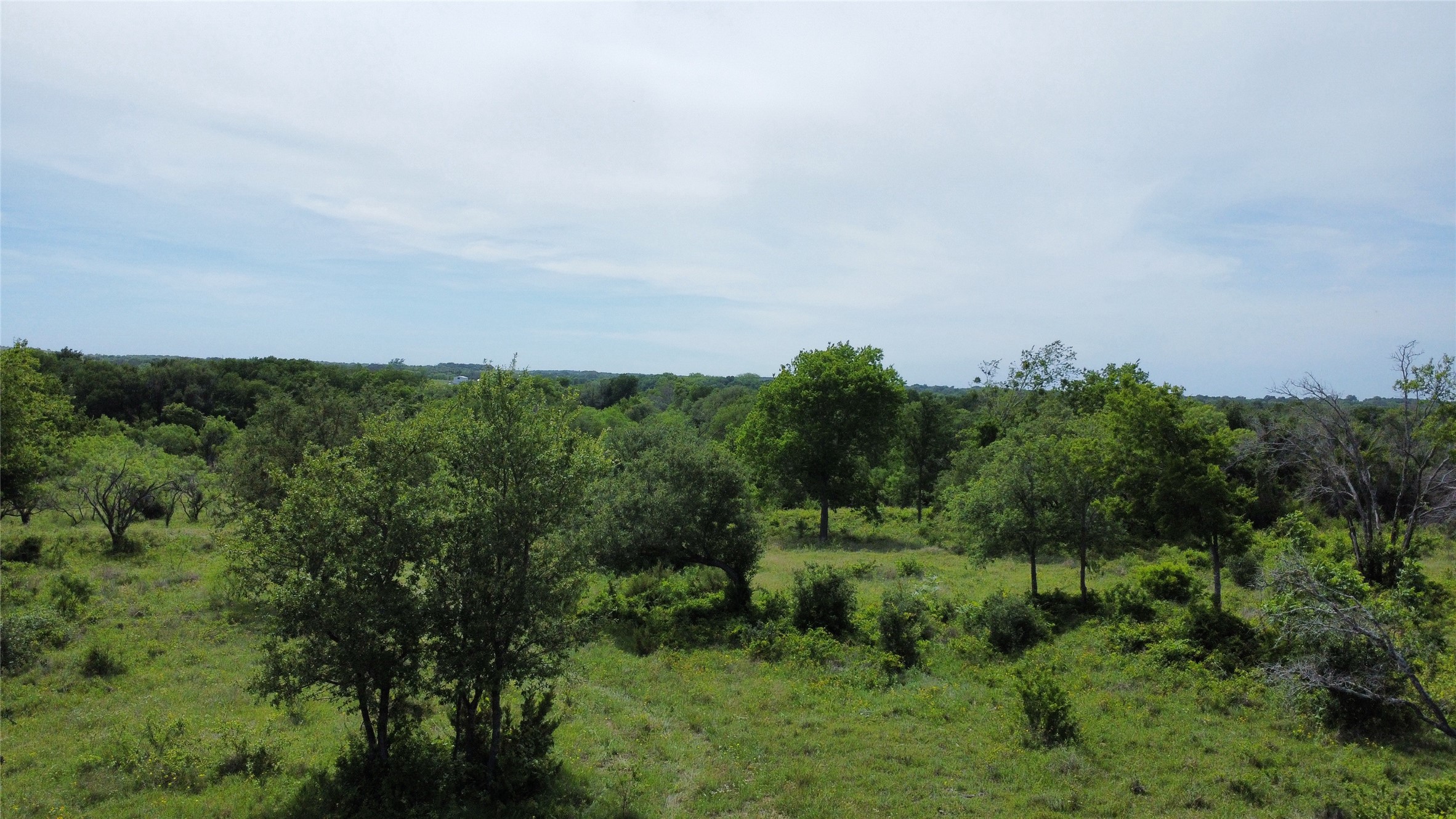 Lot 29 Twisted Creek Drive Gustine TX 76455