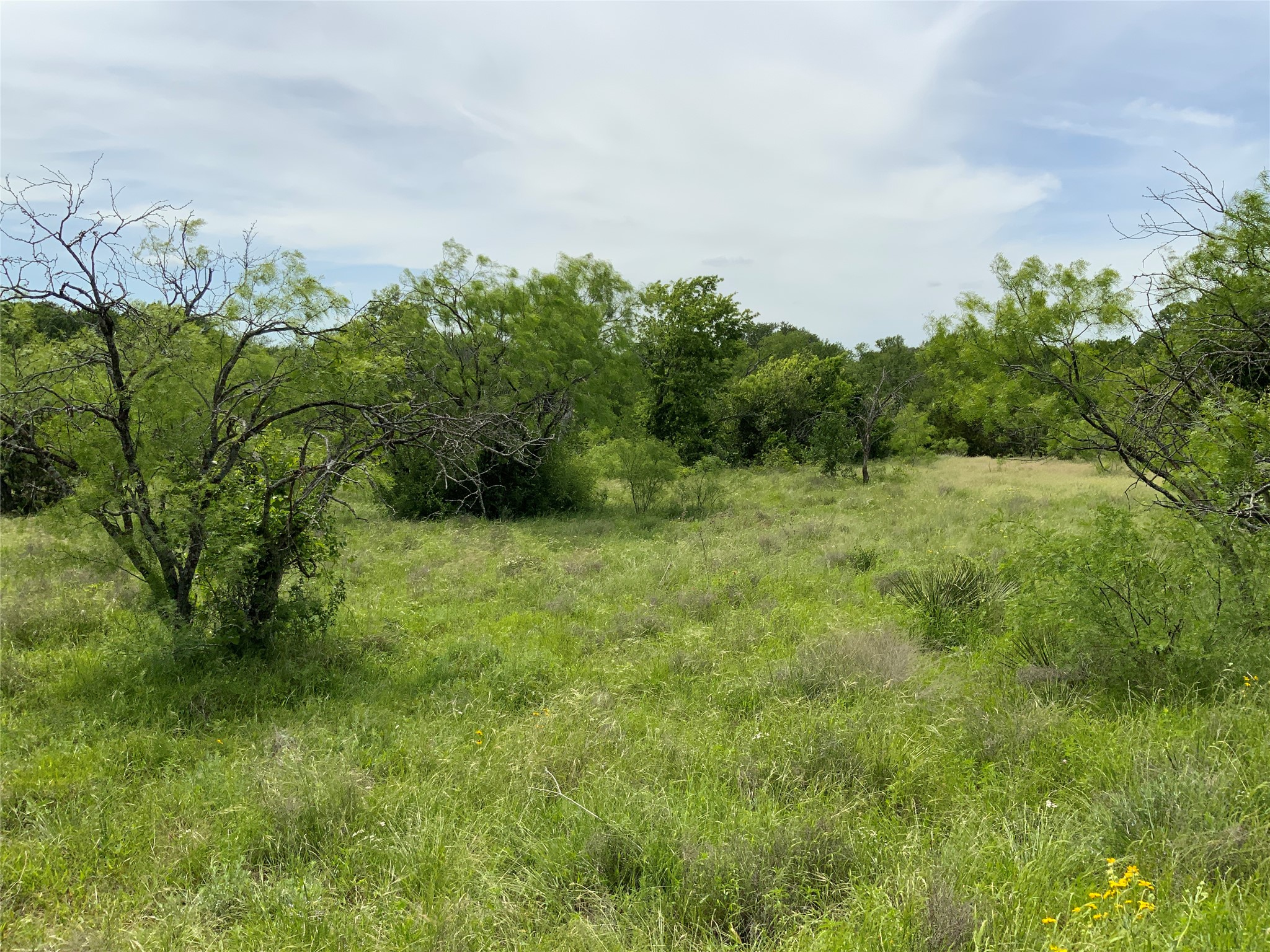 Lot 29 Twisted Creek Drive Gustine TX 76455