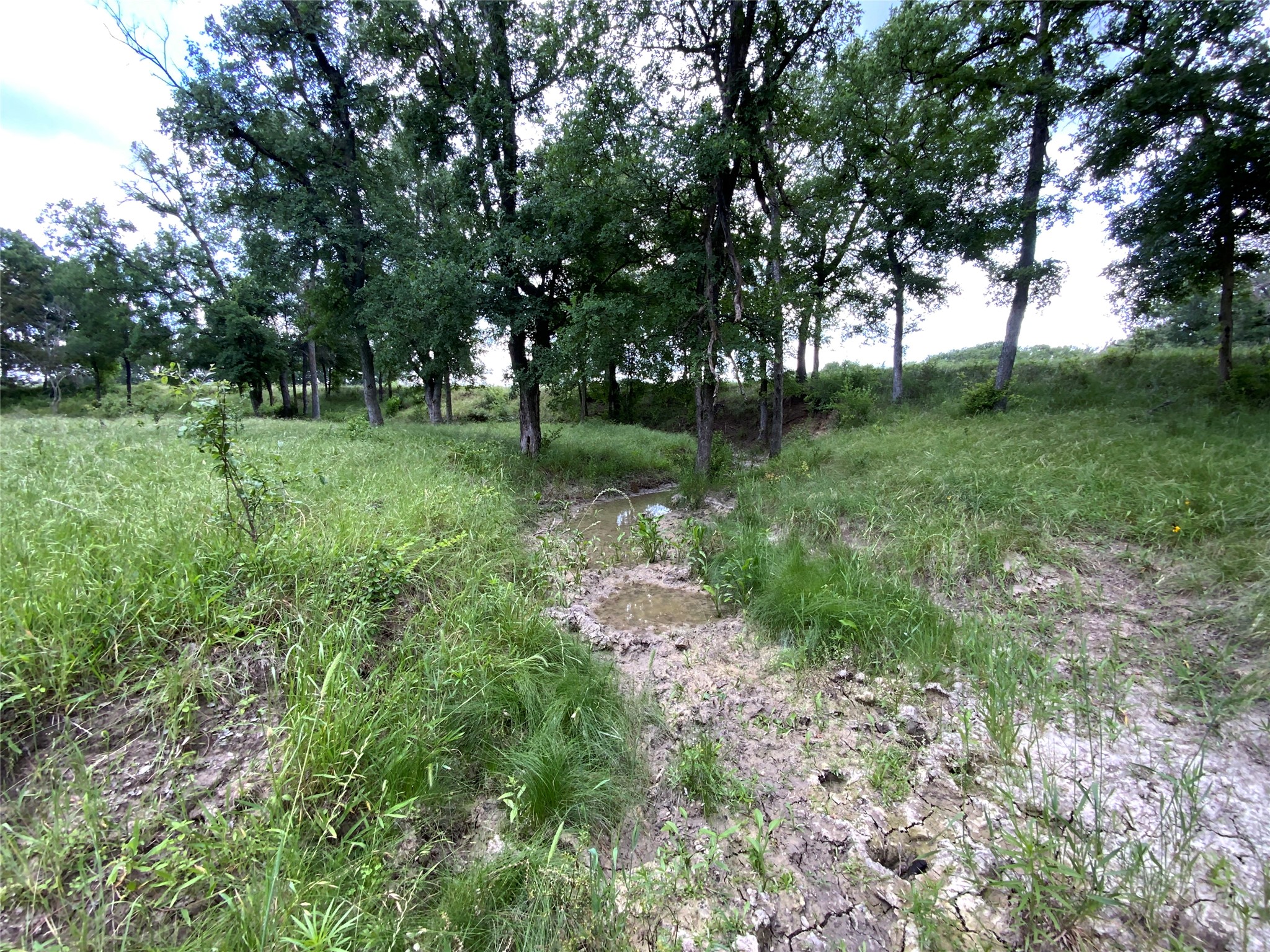 Lot 29 Twisted Creek Drive Gustine TX 76455