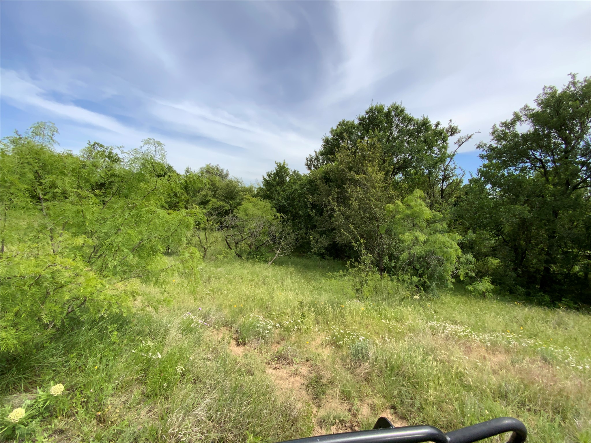 Lot 29 Twisted Creek Drive Gustine TX 76455