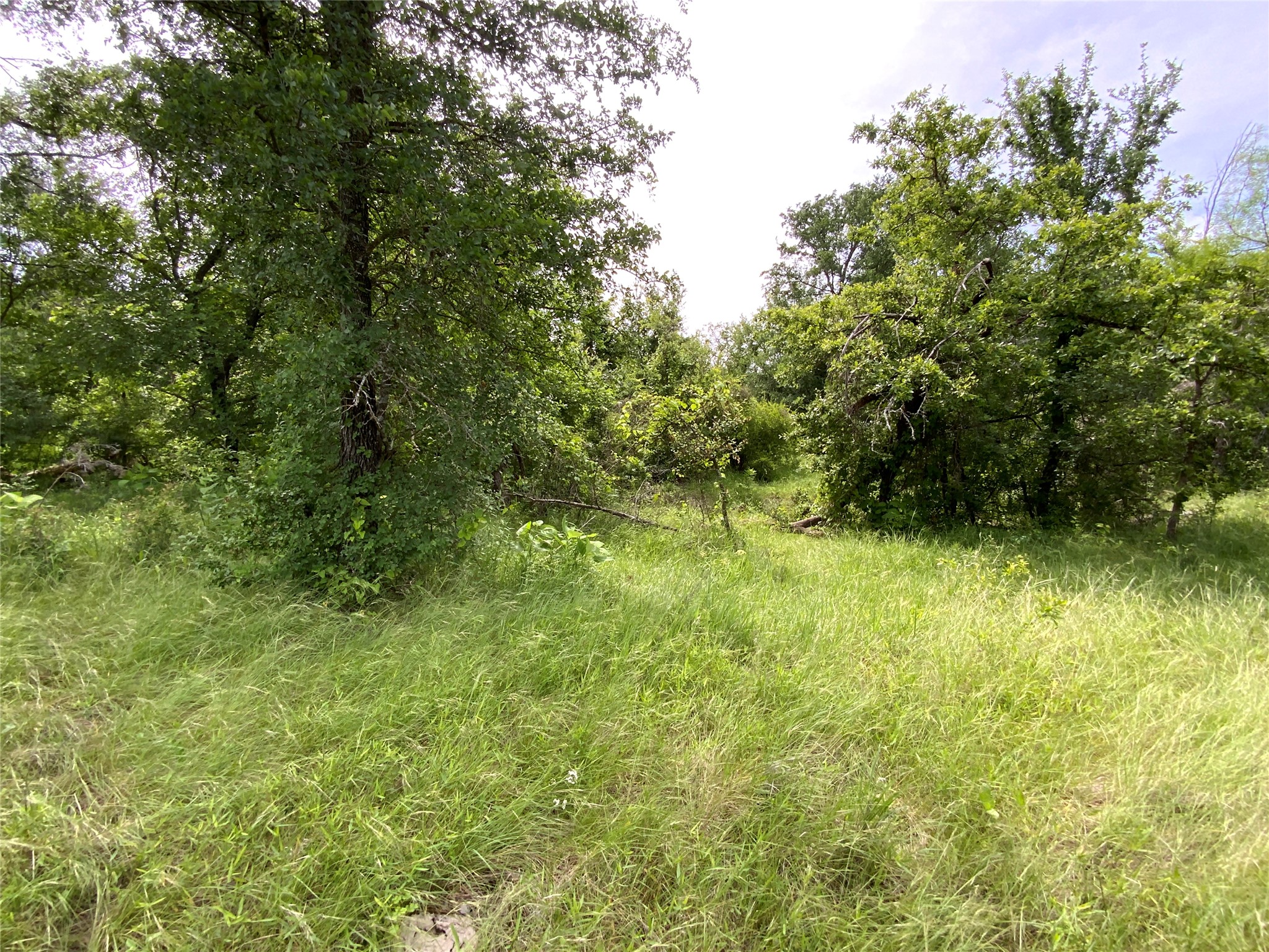 Lot 29 Twisted Creek Drive Gustine TX 76455