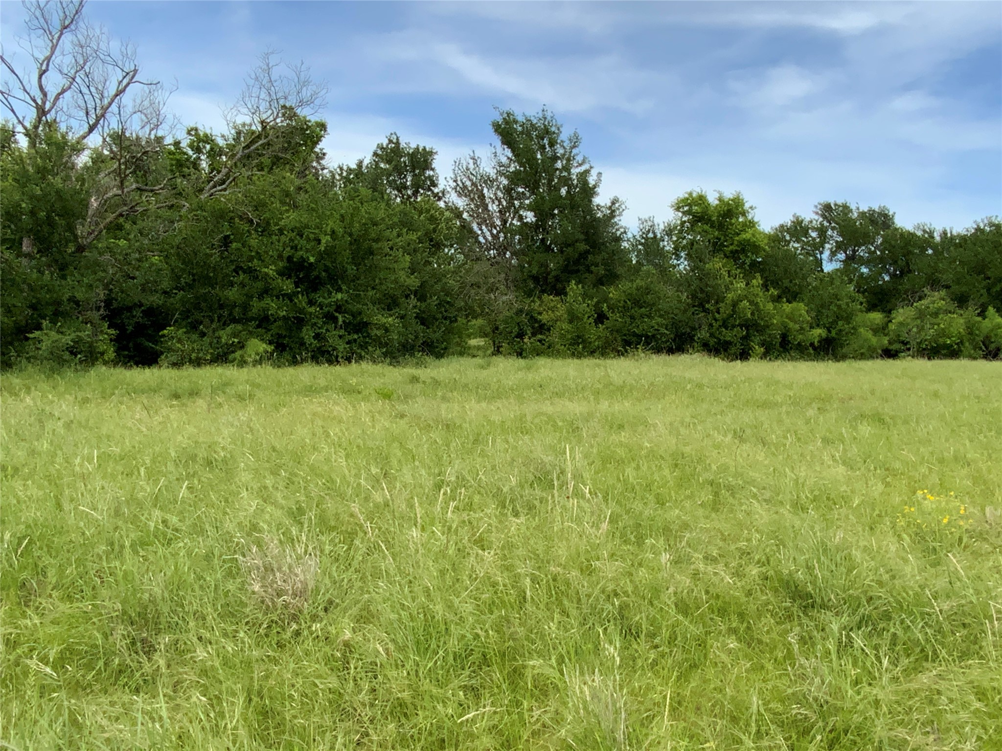 Lot 29 Twisted Creek Drive Gustine TX 76455