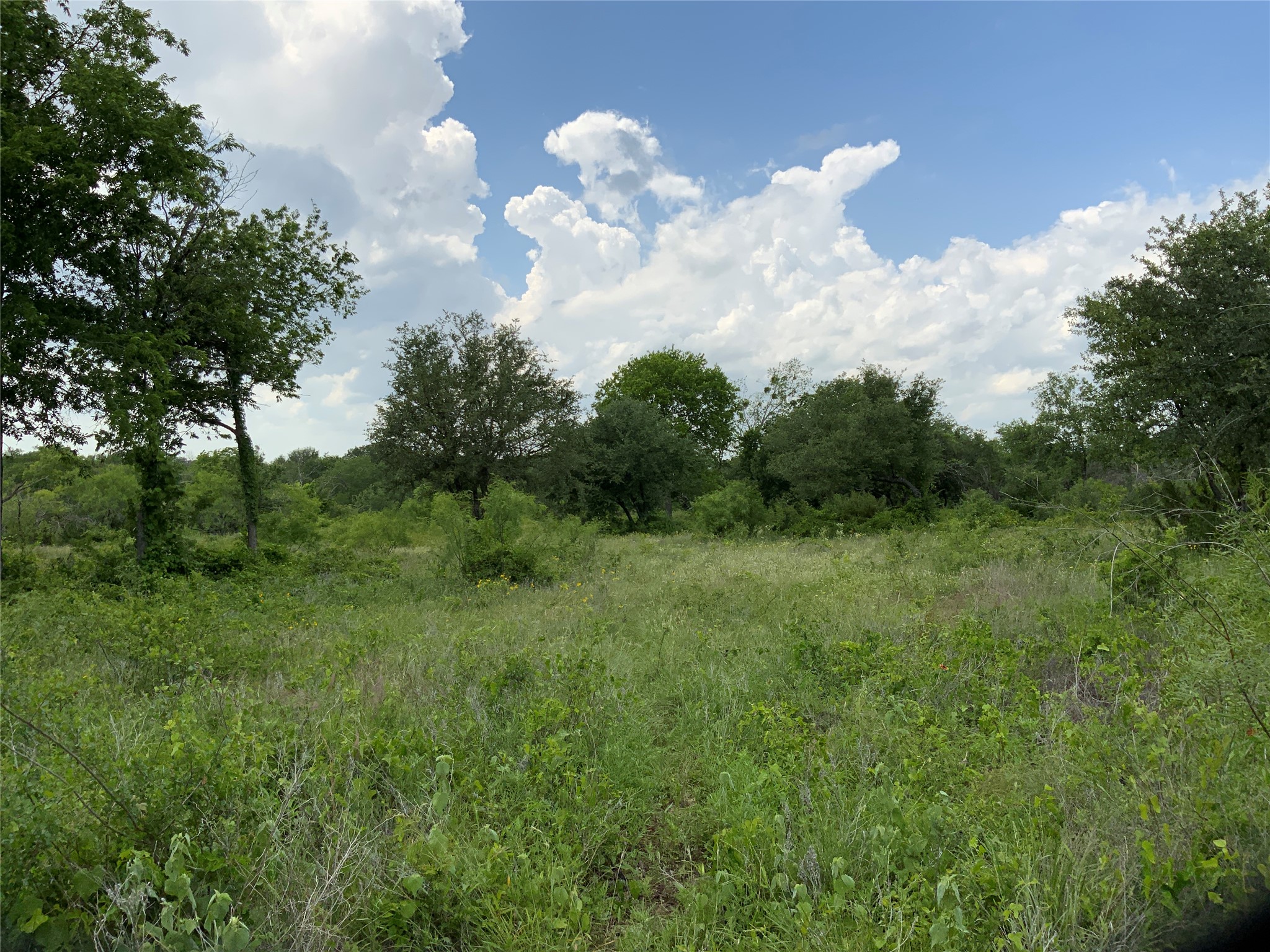 Lot 29 Twisted Creek Drive Gustine TX 76455