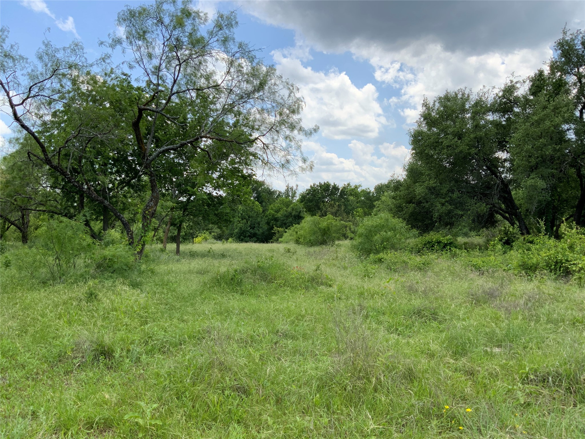 Lot 29 Twisted Creek Drive Gustine TX 76455