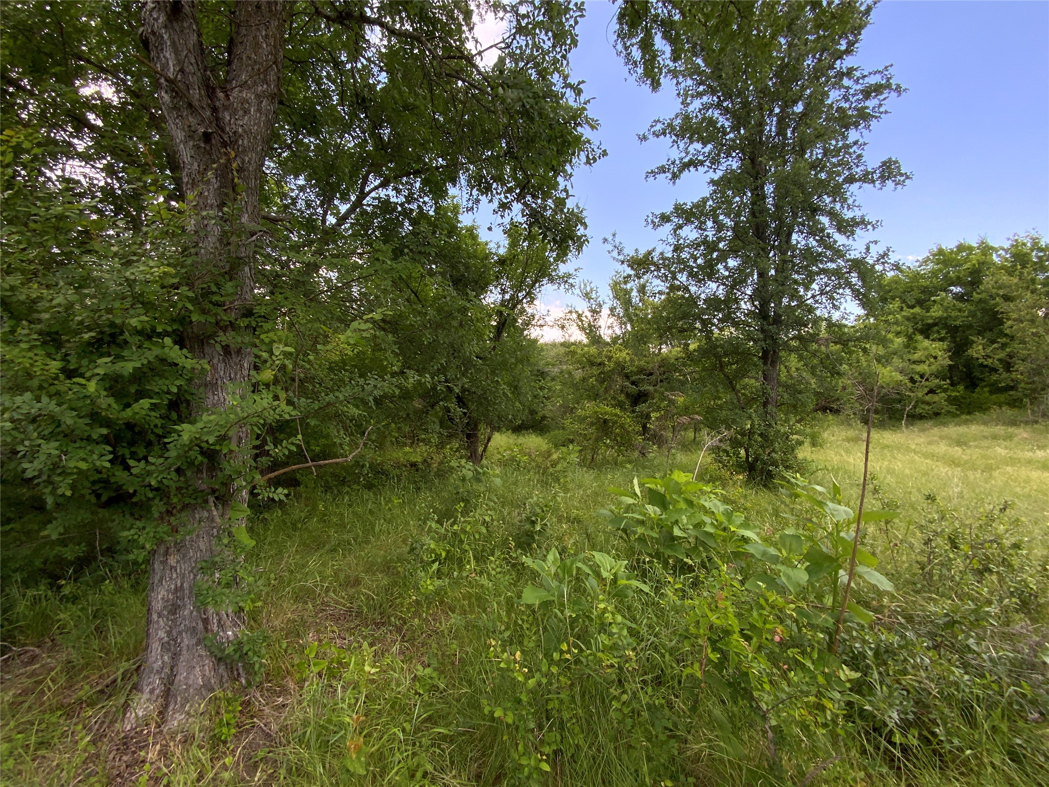 Lot 29 Twisted Creek Drive Gustine TX 76455