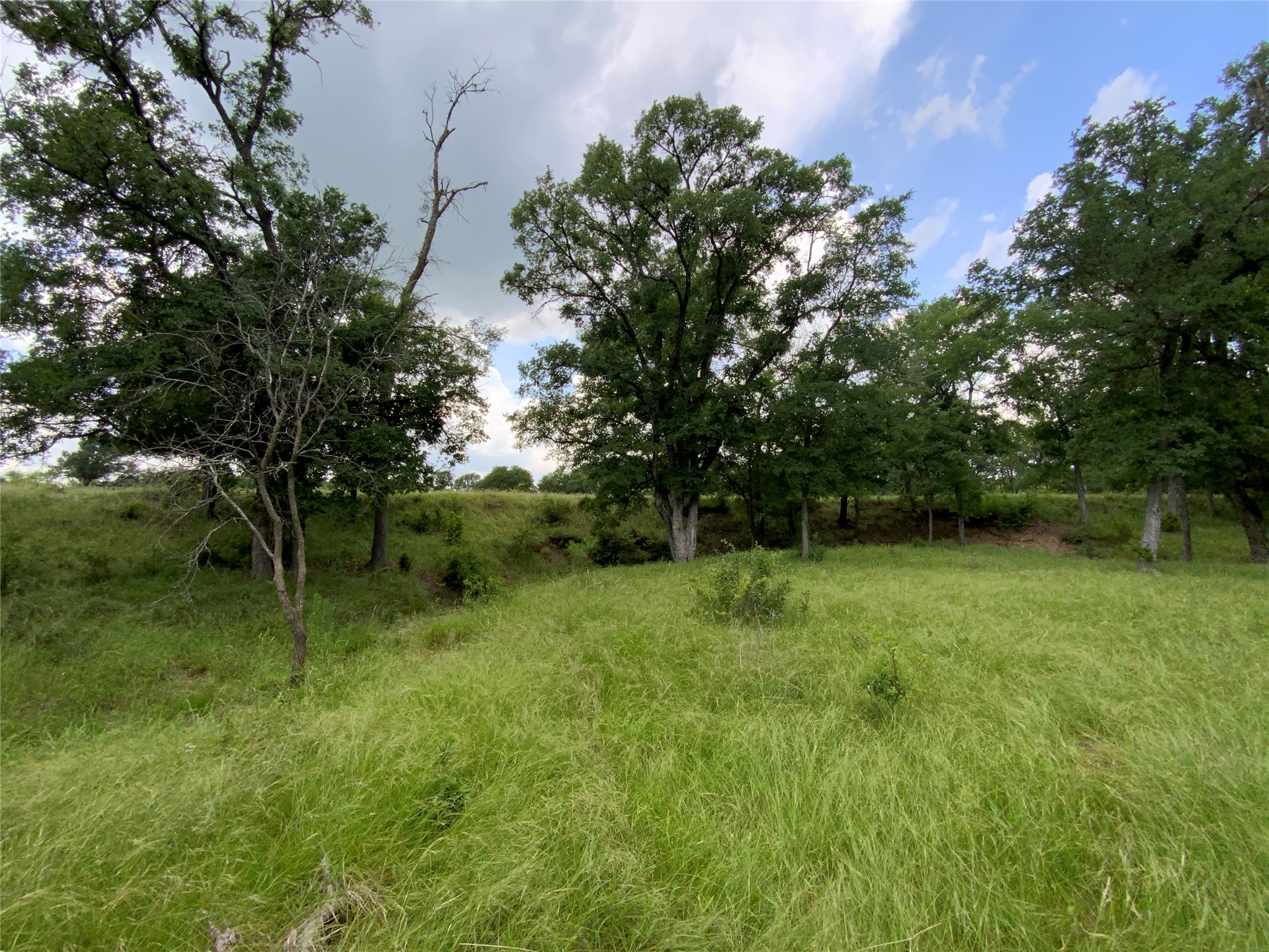 Lot 29 Twisted Creek Drive Gustine TX 76455