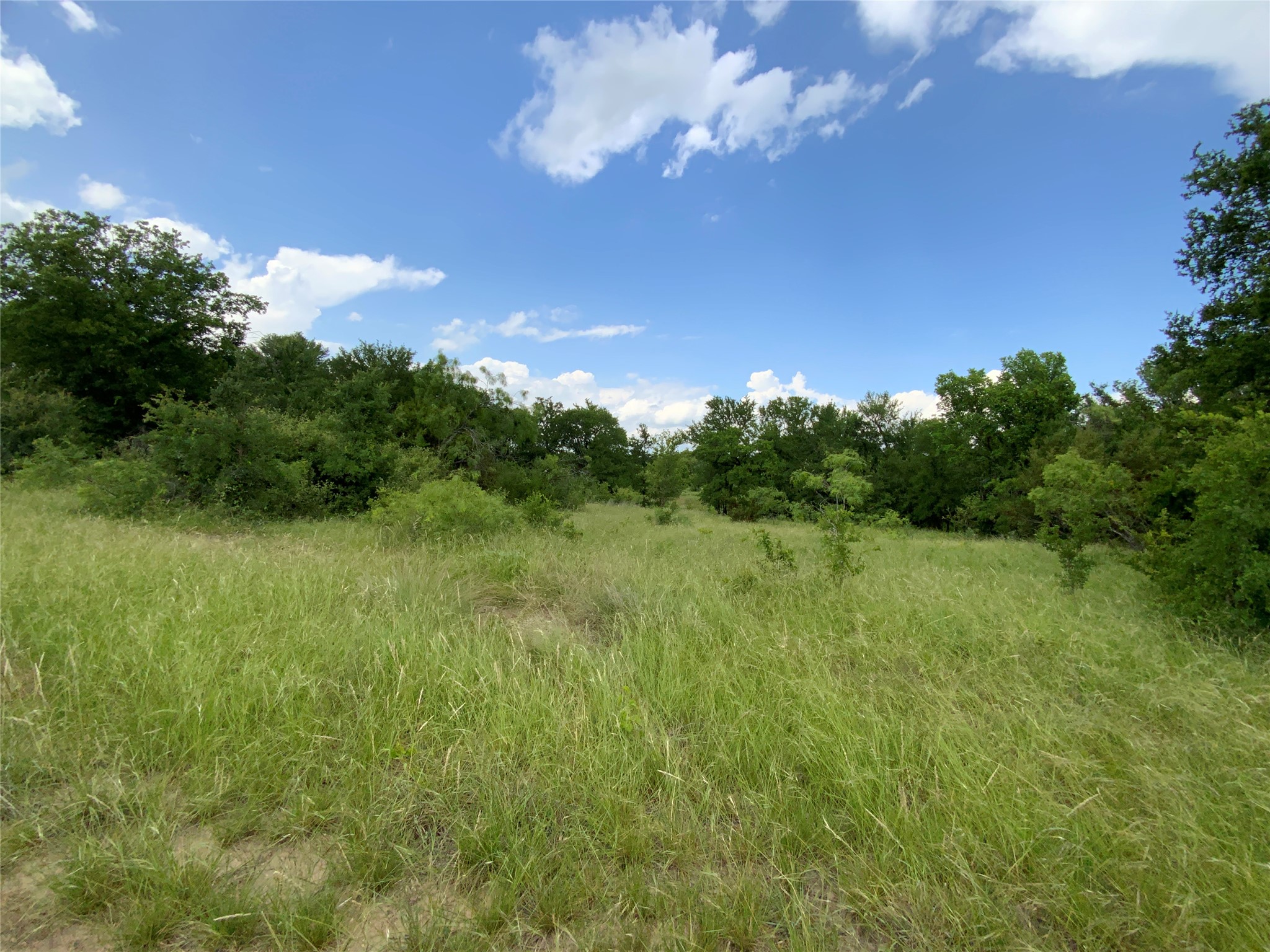 Lot 29 Twisted Creek Drive Gustine TX 76455