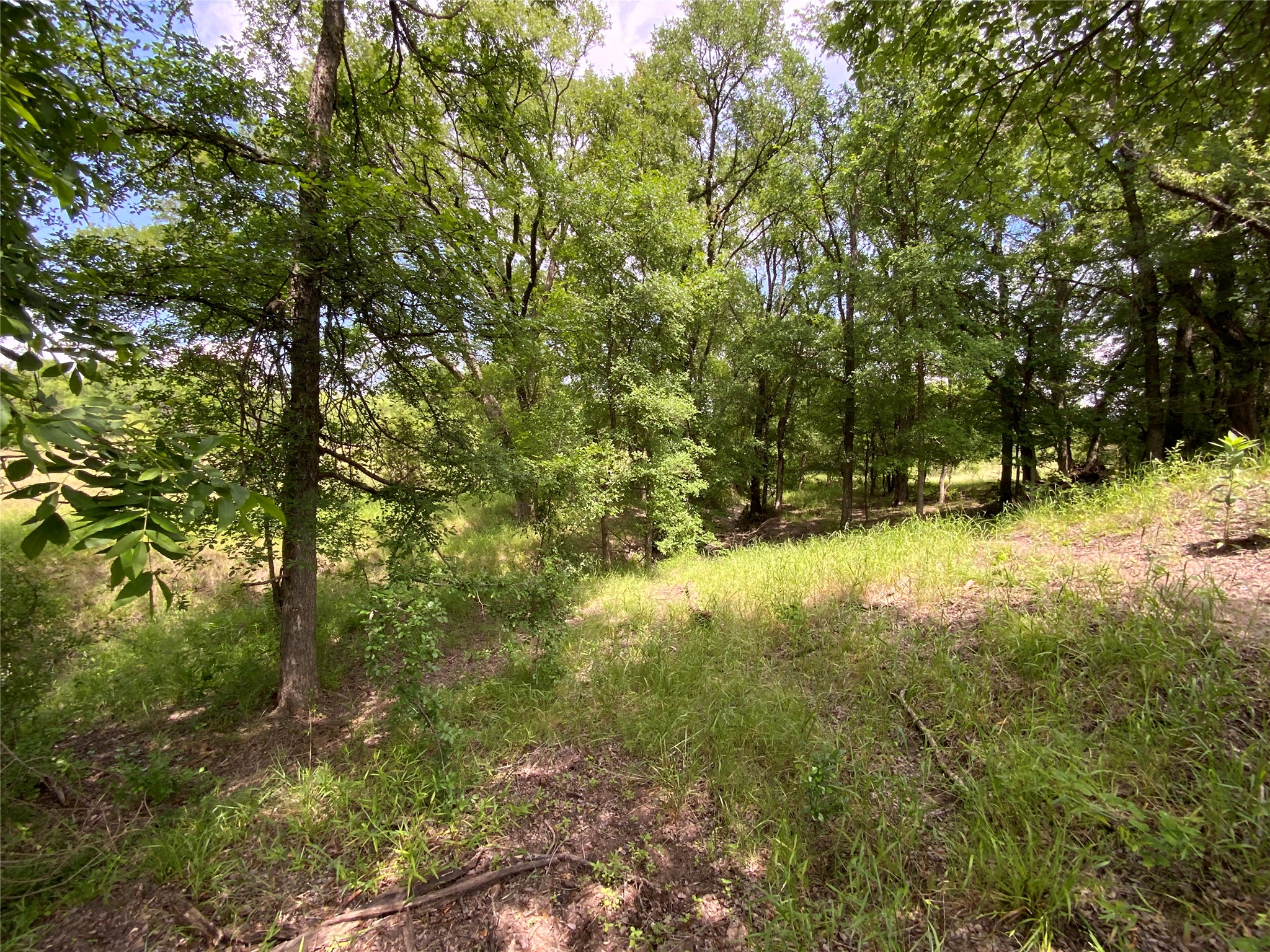 Lot 29 Twisted Creek Drive Gustine TX 76455