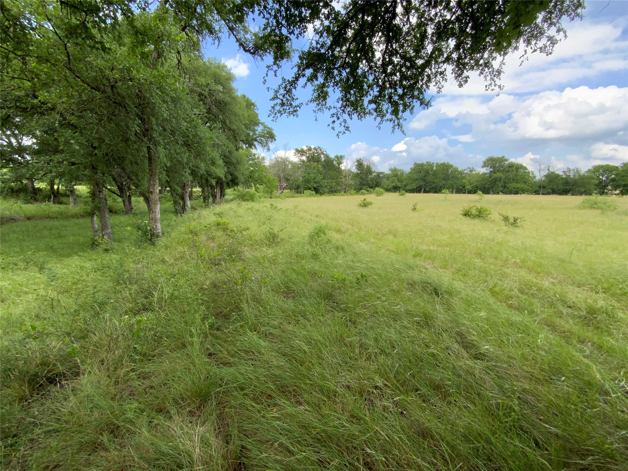 Lot 29 Twisted Creek Drive Gustine TX 76455