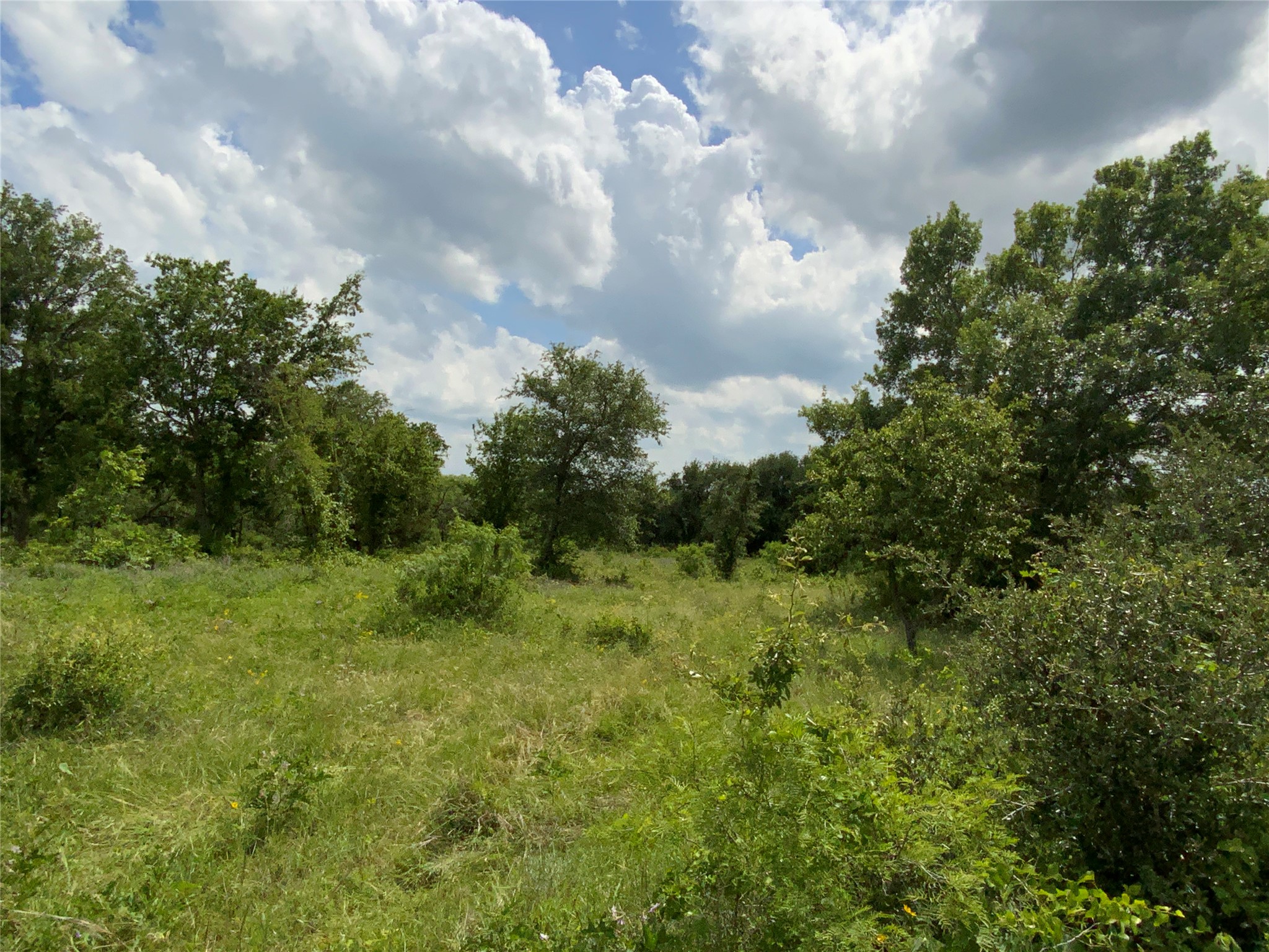 Lot 29 Twisted Creek Drive Gustine TX 76455
