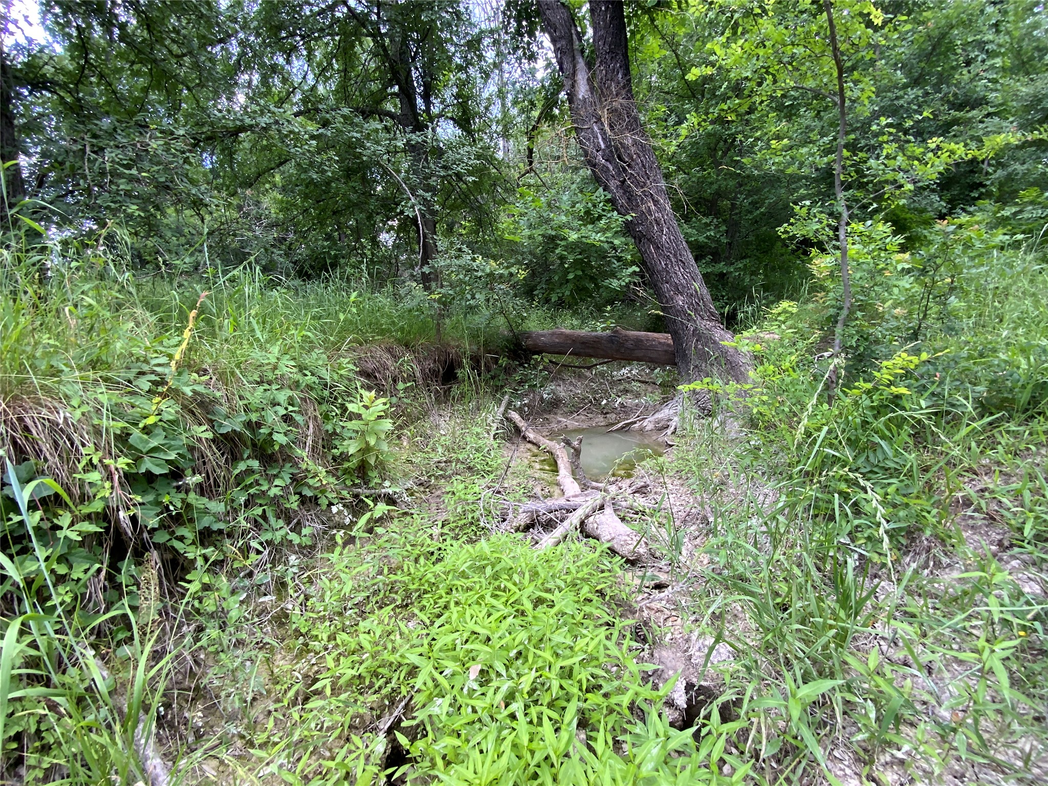 Lot 29 Twisted Creek Drive Gustine TX 76455