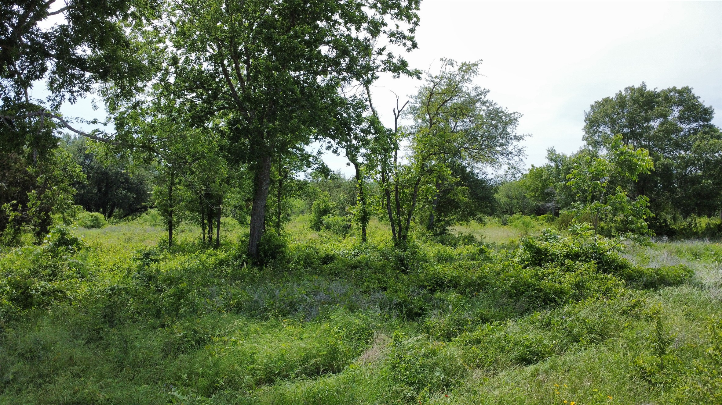 Lot 29 Twisted Creek Drive Gustine TX 76455