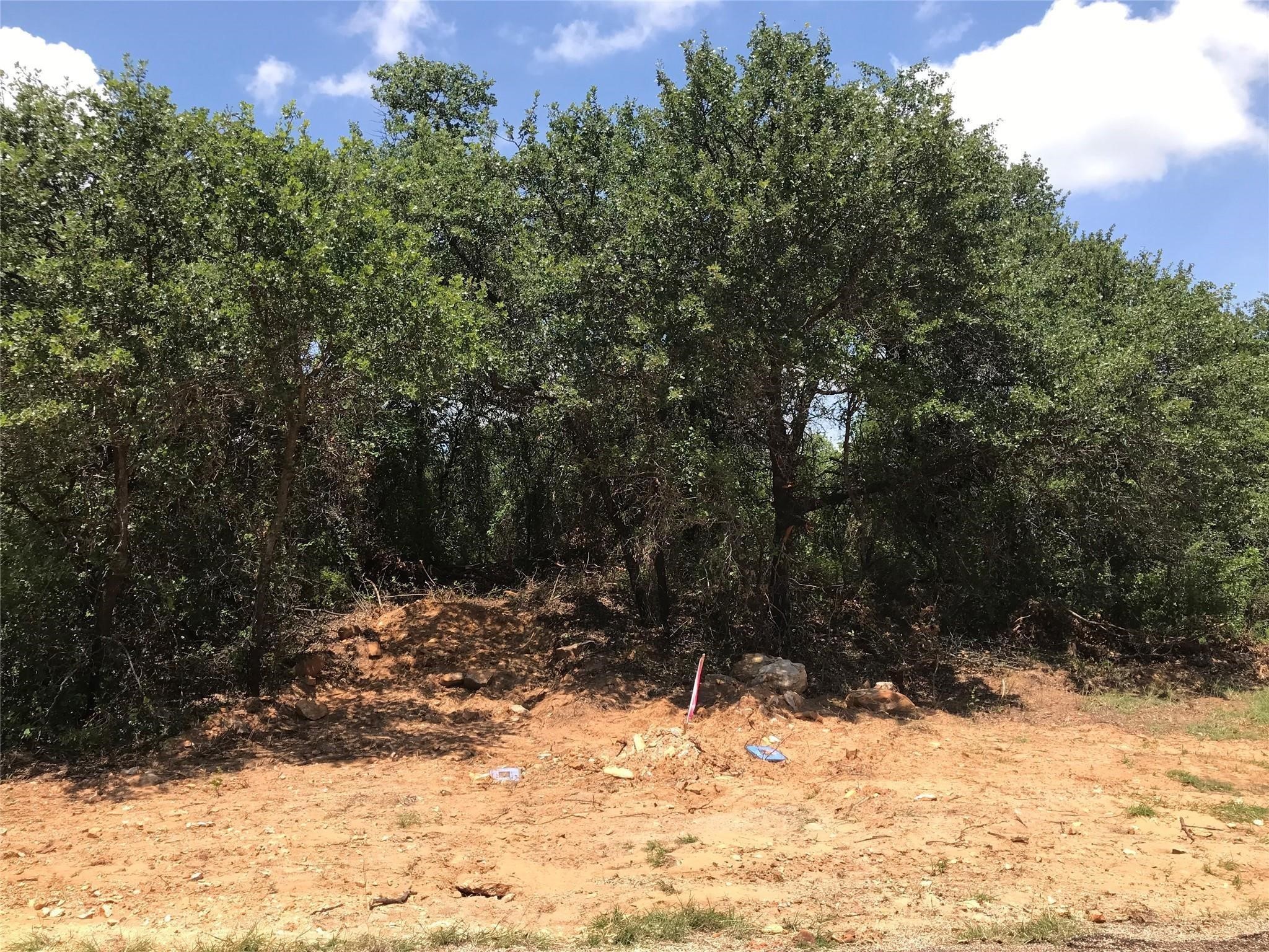 1190 N Lakeview Drive Palo Pinto TX 76484