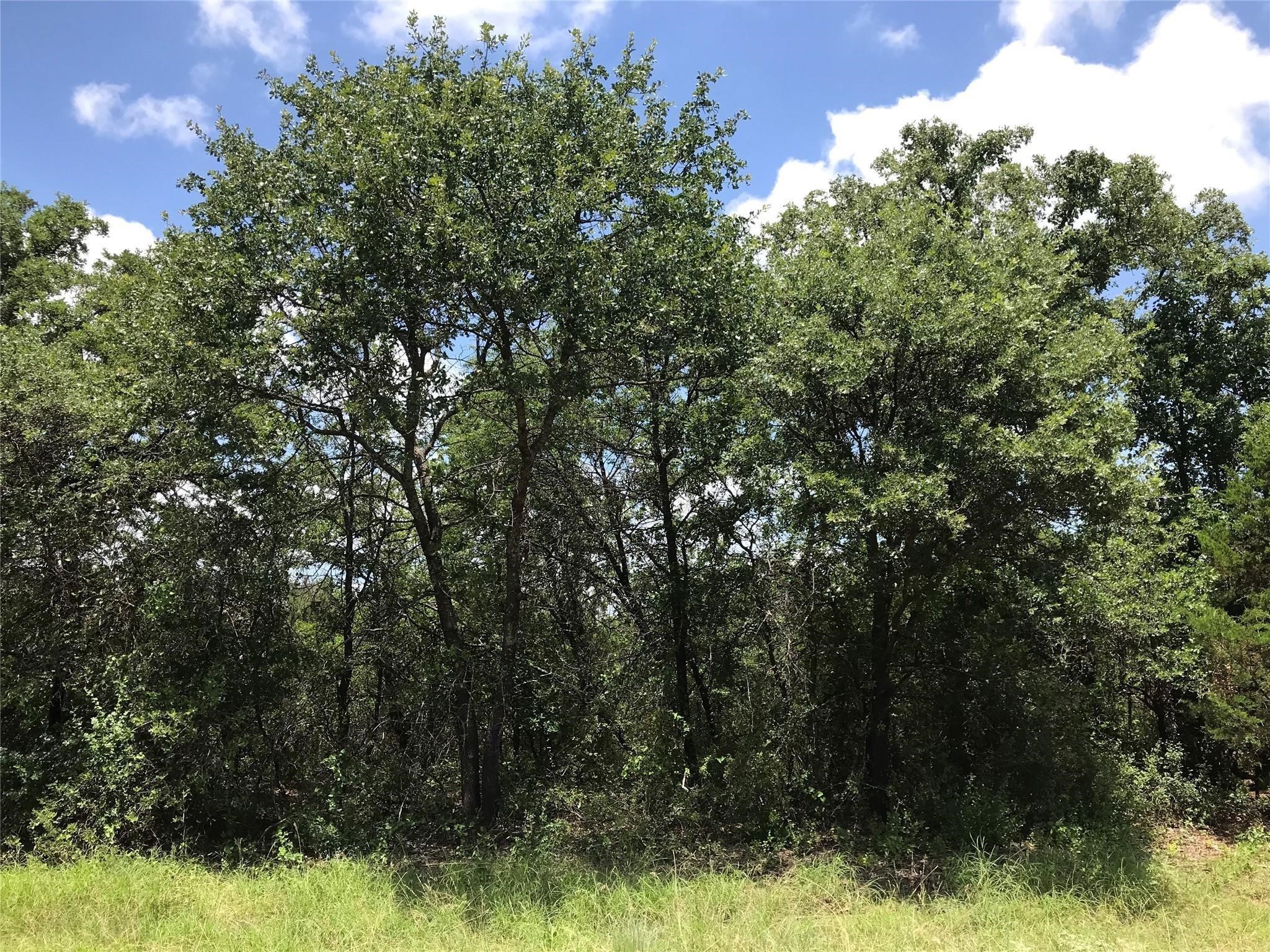 1190 N Lakeview Drive Palo Pinto TX 76484