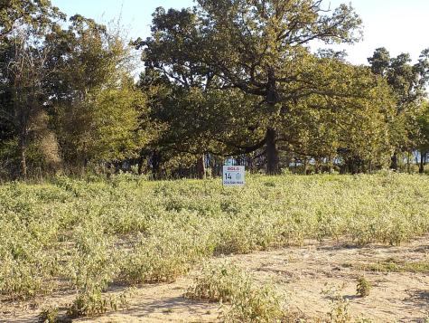 Lot 14 Anglers Point Drive Emory TX 75440