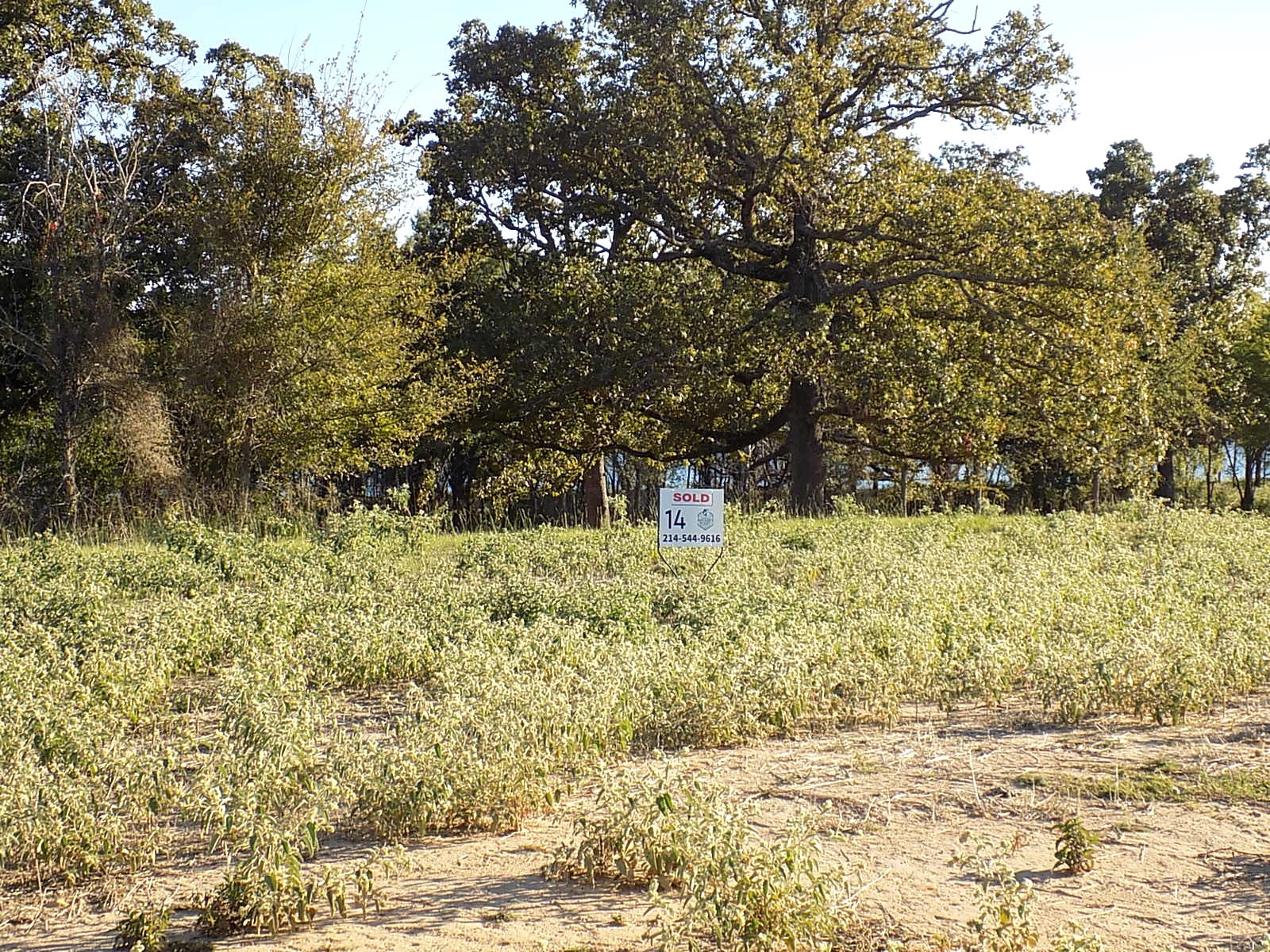 Lot 14 Anglers Point Drive Emory TX 75440