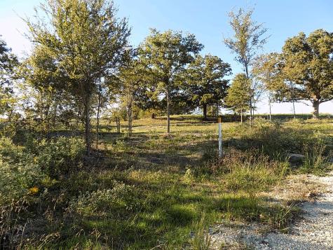 Lot 14 Anglers Point Drive Emory TX 75440